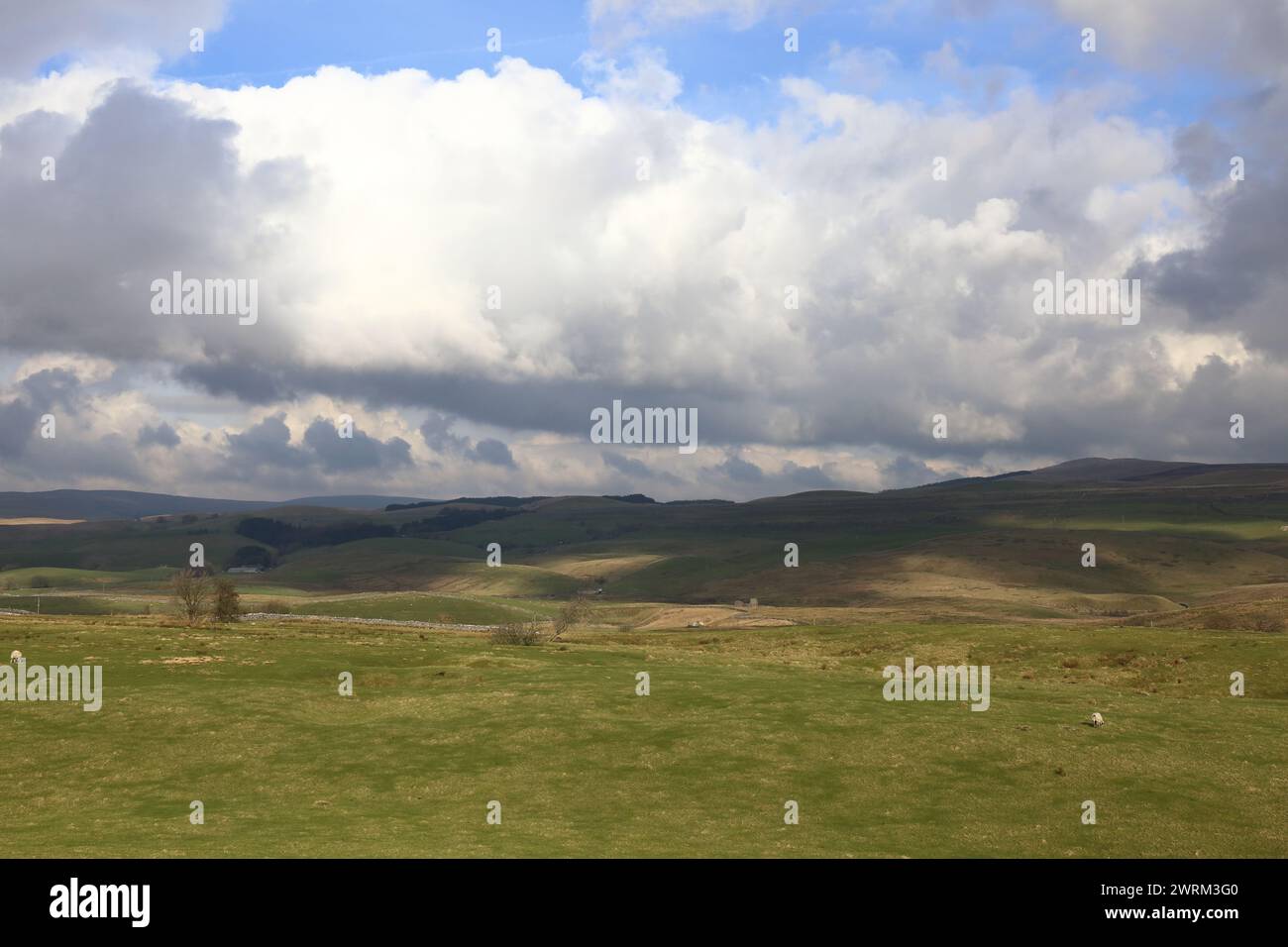 Yorkshire Moorland Landscape. Stock Photo