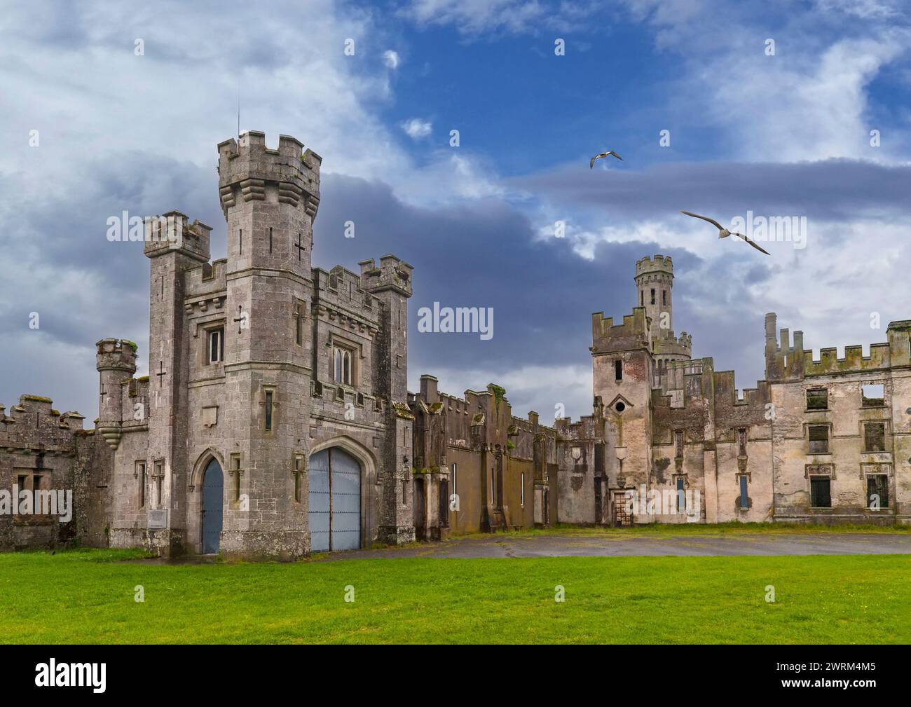 A gaunt Irish monument to mood, Duckett's Grove in County Carlow, Ireland, a Gothic Revival castle from 1820 razed by fire in 1933. Stock Photo