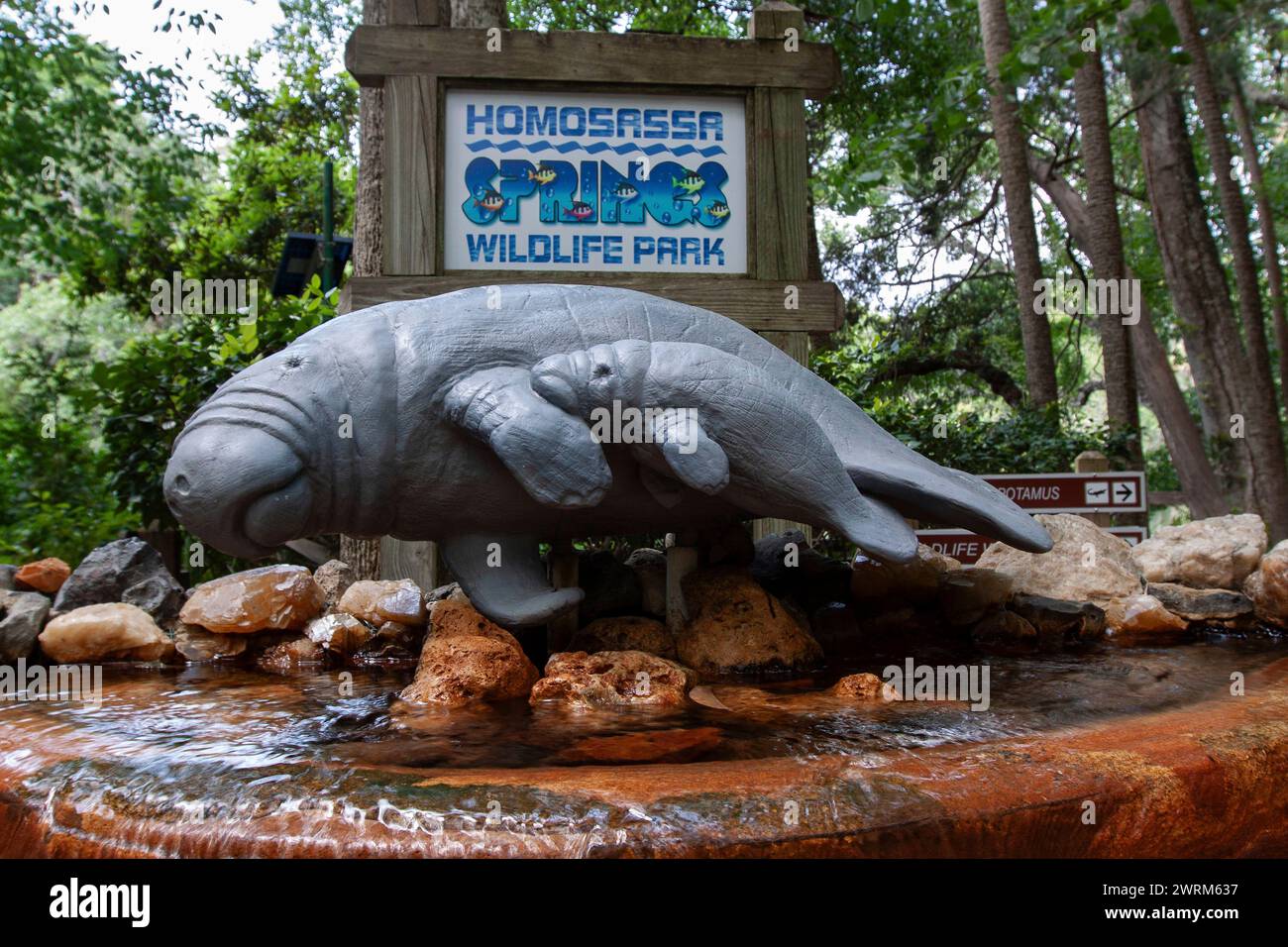A statue of a Florida manatee at the entrance to the Ellie Schiller Homosassa Springs Wildlife State Park in Homosassa Springs, Florida. The natural hot springs are home to one of the largest gatherings of endangered manatees in the world. Stock Photo