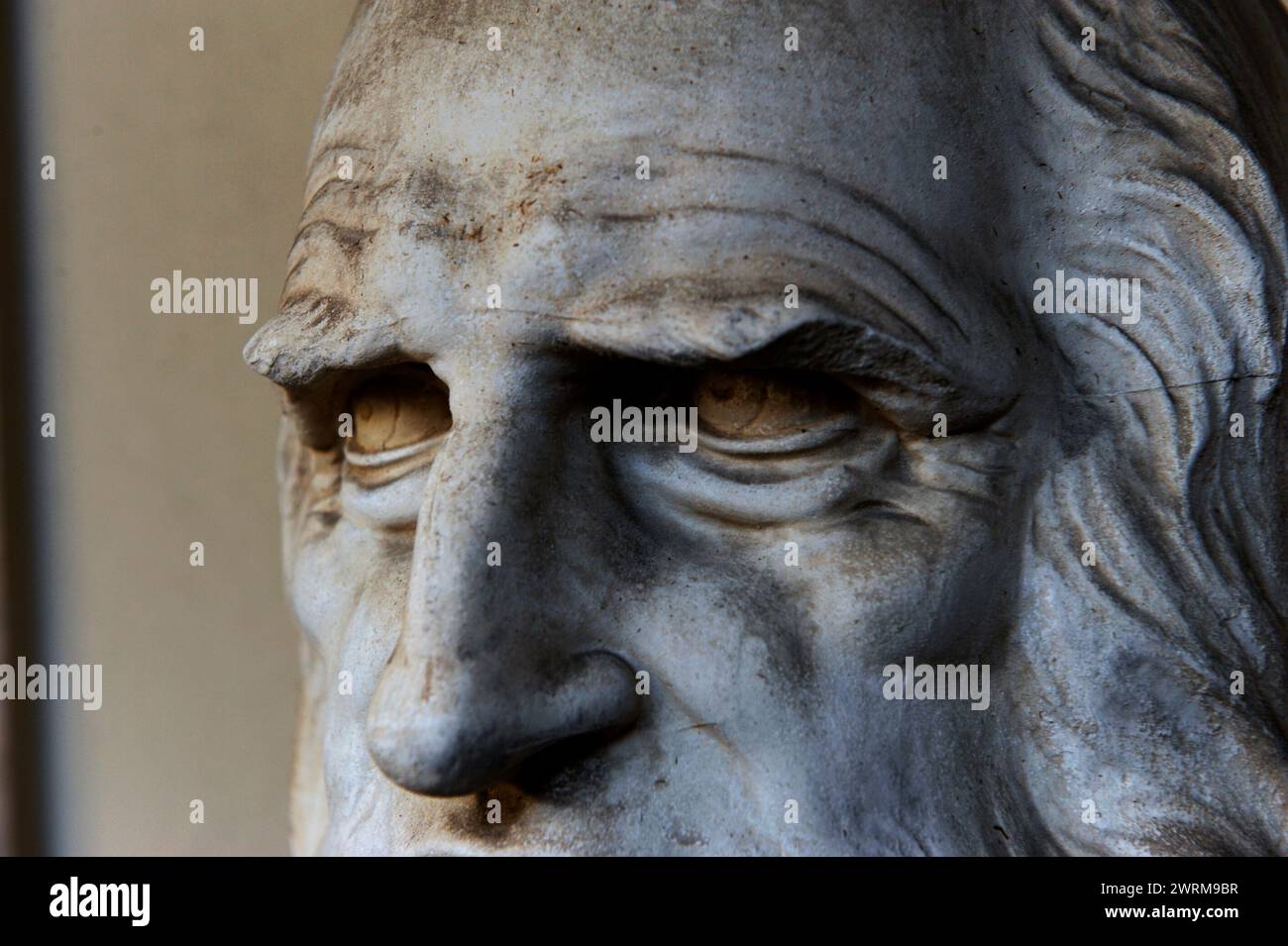 Sculpture statue bust detail Leonardo da Vinci renaissance artist