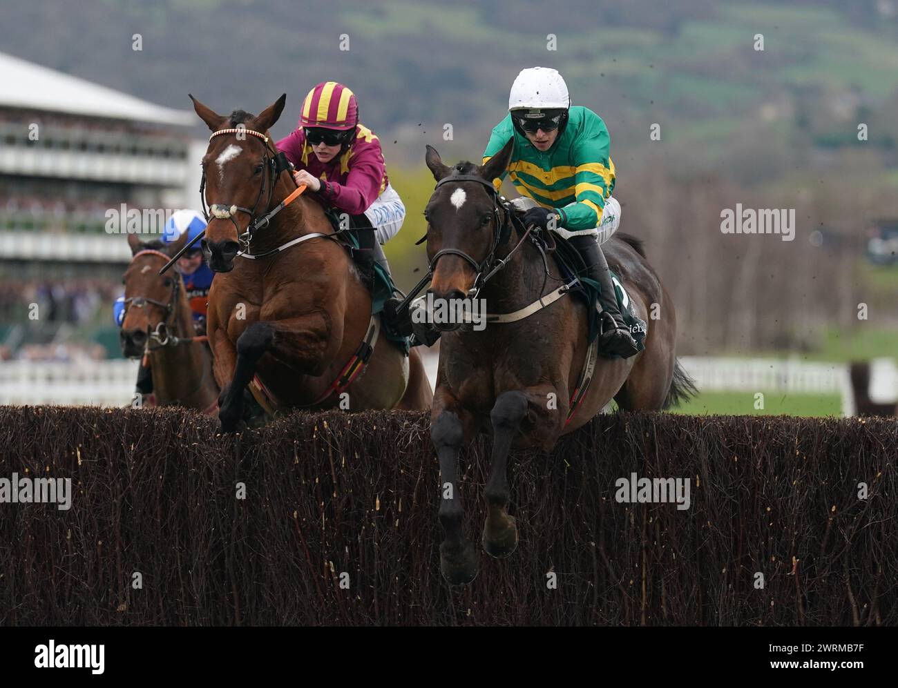 Fact To File ridden by Mark Walsh on their way to winning the Gallagher Novices' Hurdle on day two of the 2024 Cheltenham Festival at Cheltenham Racecourse. Picture date: Wednesday March 13, 2024. Stock Photo