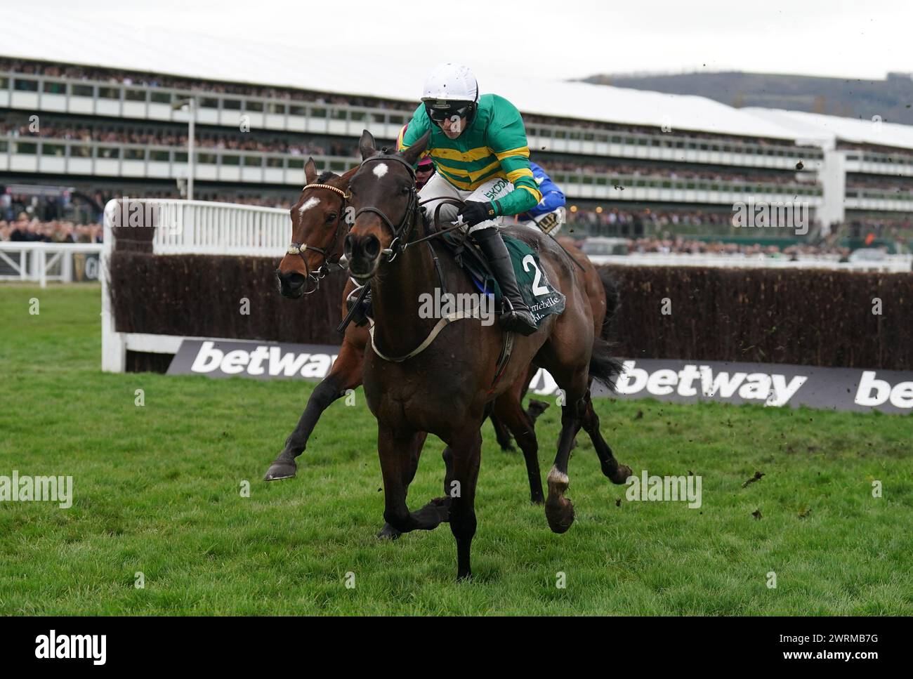 Fact To File ridden by Mark Walsh on their way to winning the Gallagher Novices' Hurdle on day two of the 2024 Cheltenham Festival at Cheltenham Racecourse. Picture date: Wednesday March 13, 2024. Stock Photo