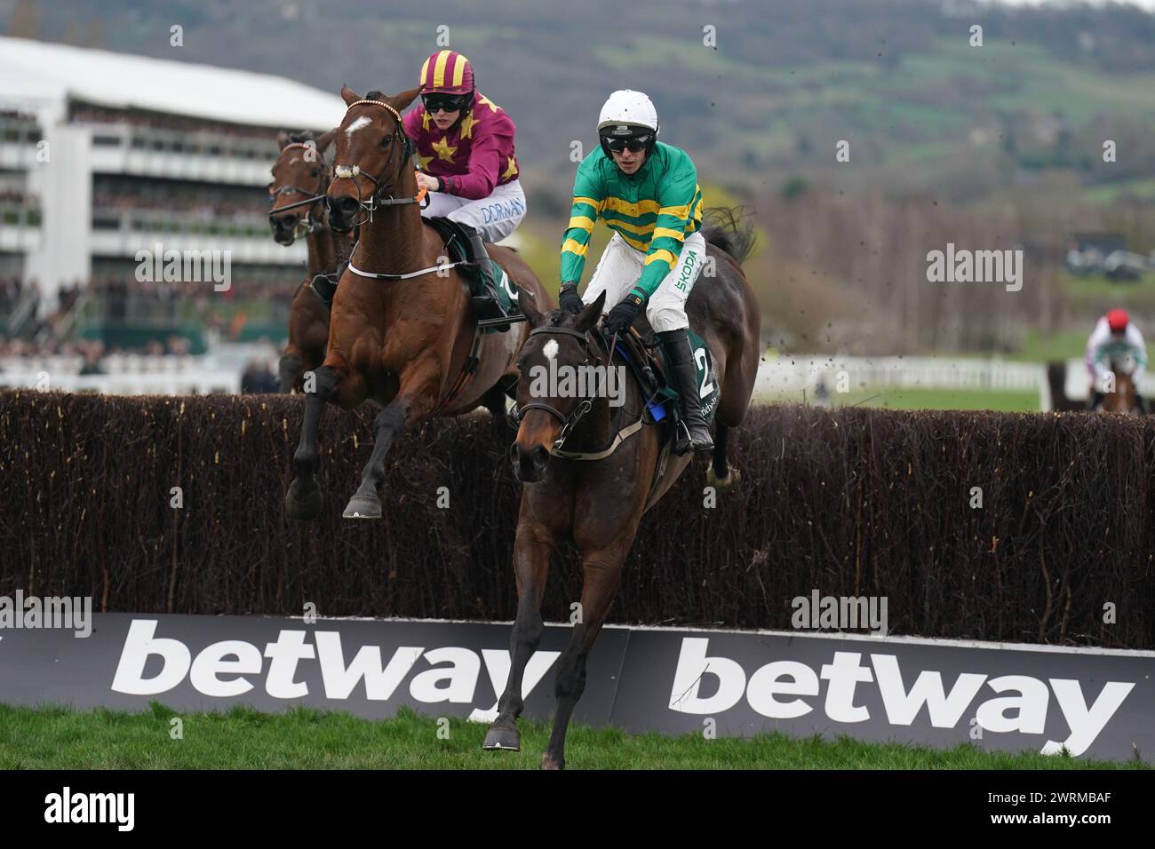Fact To File ridden by Mark Walsh on their way to winning the Gallagher Novices' Hurdle on day two of the 2024 Cheltenham Festival at Cheltenham Racecourse. Picture date: Wednesday March 13, 2024. Stock Photo
