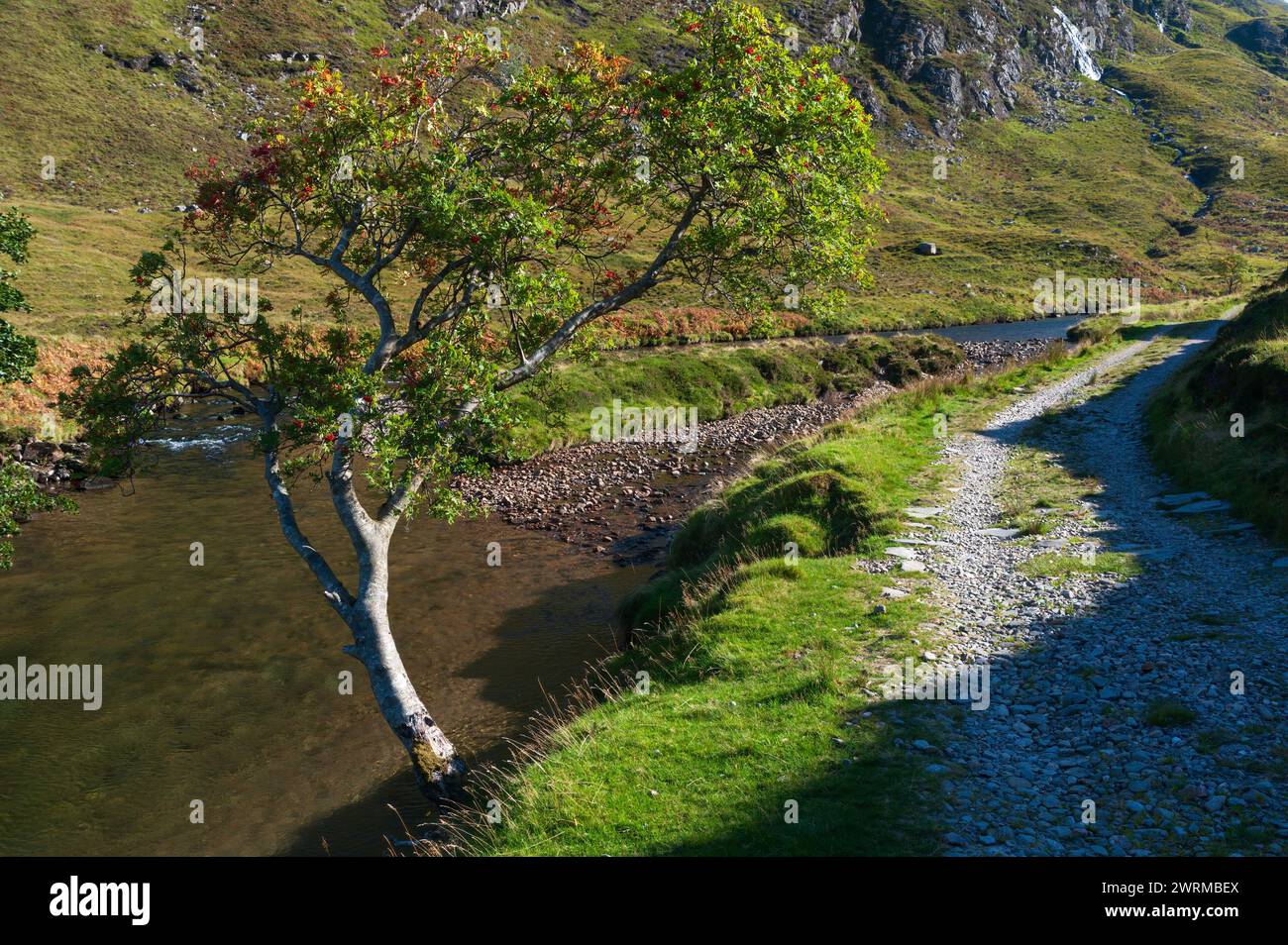 Track alongside the River Croe in Glenlicht, Kintail, Scotland. Stock Photo