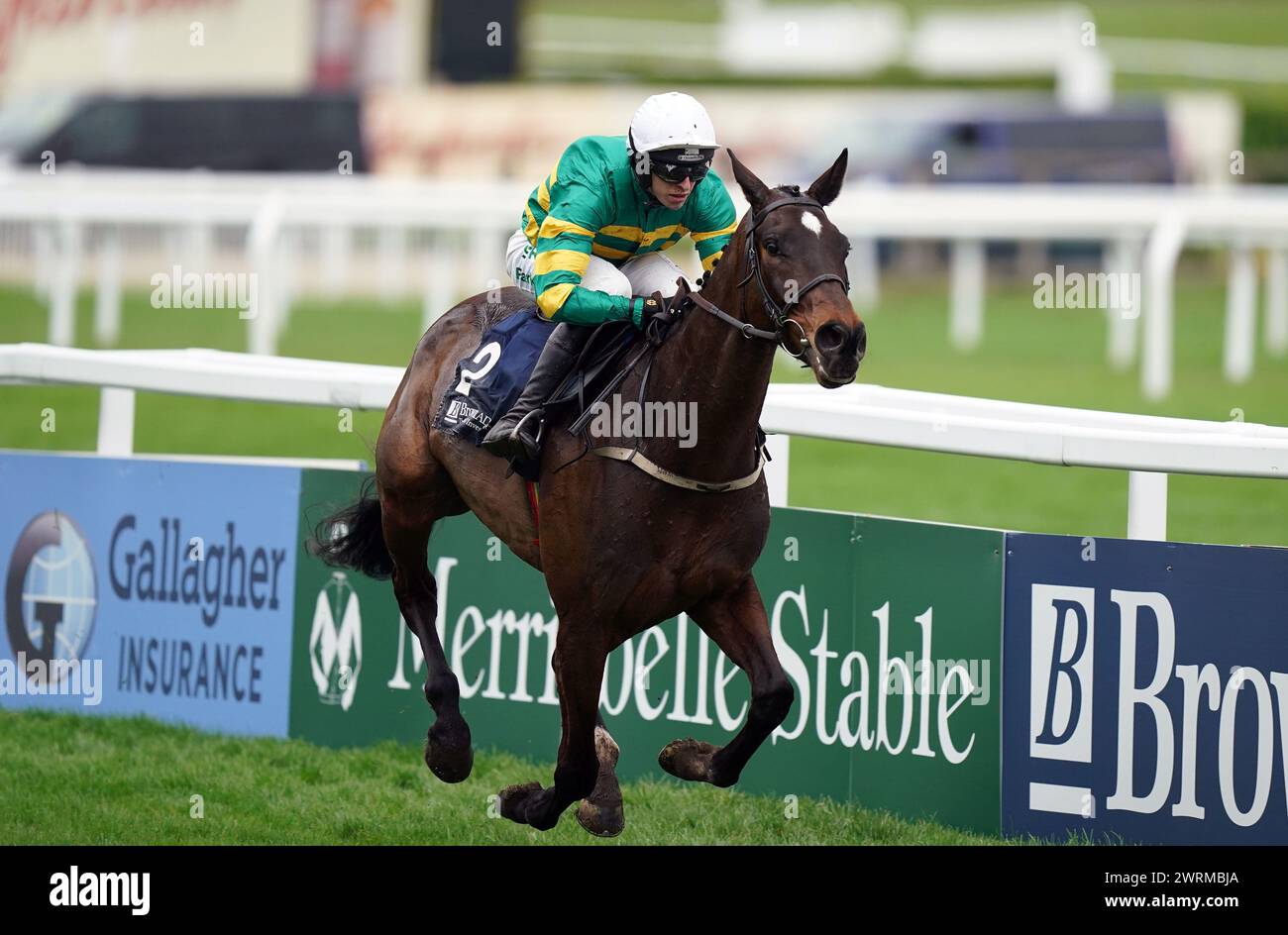 Fact To File ridden by Mark Walsh on their way to winning the Gallagher Novices' Hurdle on day two of the 2024 Cheltenham Festival at Cheltenham Racecourse. Picture date: Wednesday March 13, 2024. Stock Photo