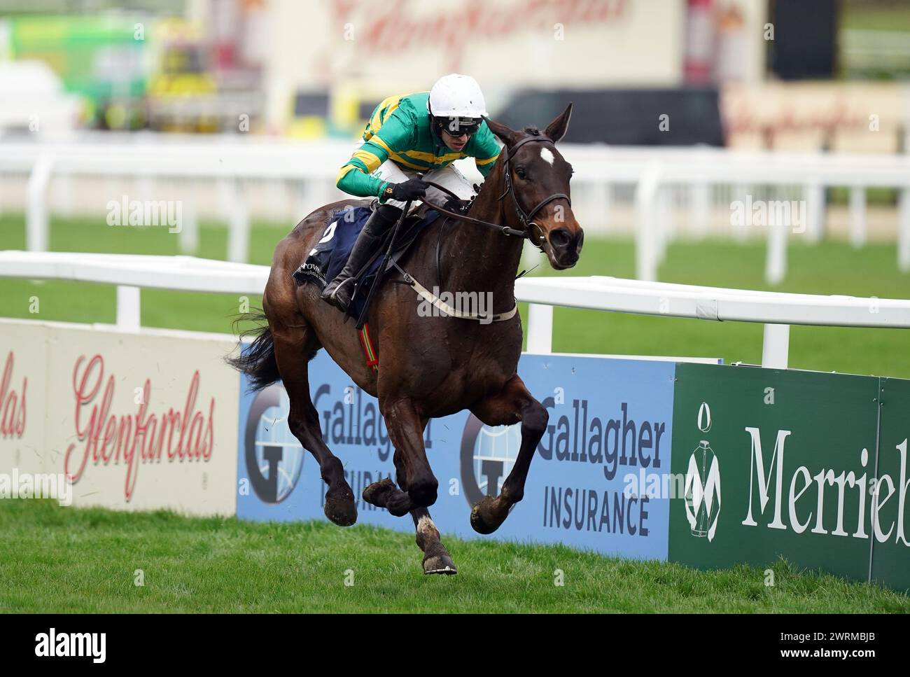 Fact To File ridden by Mark Walsh on their way to winning the Gallagher Novices' Hurdle on day two of the 2024 Cheltenham Festival at Cheltenham Racecourse. Picture date: Wednesday March 13, 2024. Stock Photo