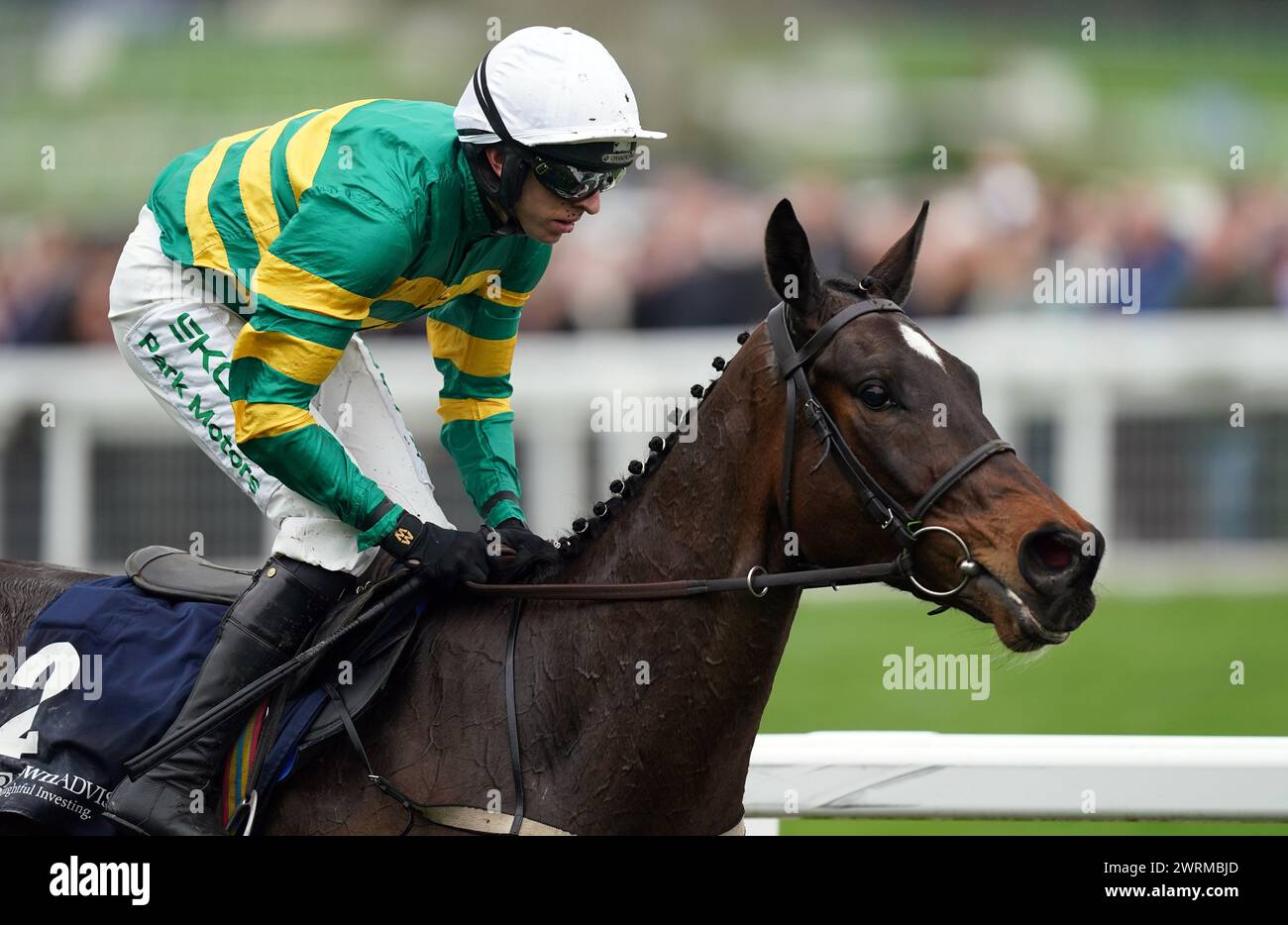 Fact To File ridden by Mark Walsh on their way to winning the Gallagher Novices' Hurdle on day two of the 2024 Cheltenham Festival at Cheltenham Racecourse. Picture date: Wednesday March 13, 2024. Stock Photo