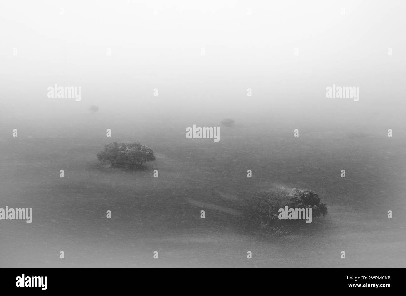 Shrouded in dense fog Black and White Stock Photos & Images - Alamy