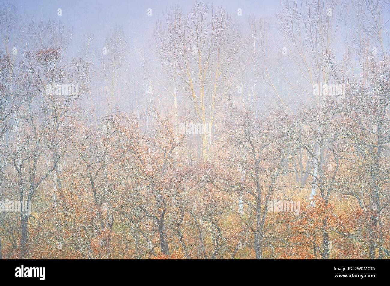 Enveloped in soft hi-res stock photography and images - Alamy