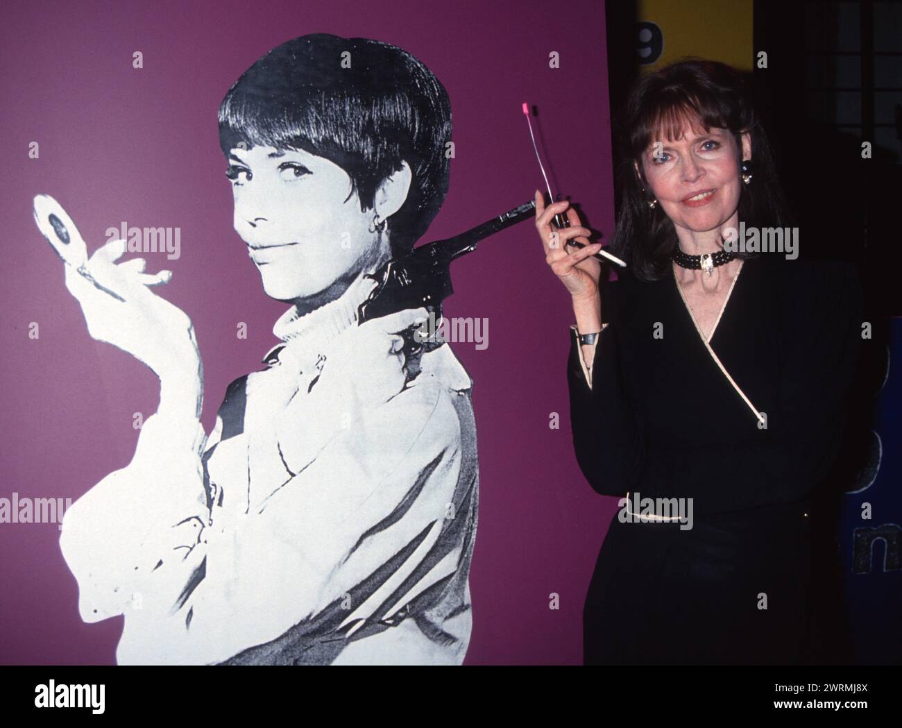 Barbara Feldon: Beyond Agent 99 – An In-Depth Look at the Enduring Legacy of ‘Get Smart’s’ Iconic Star