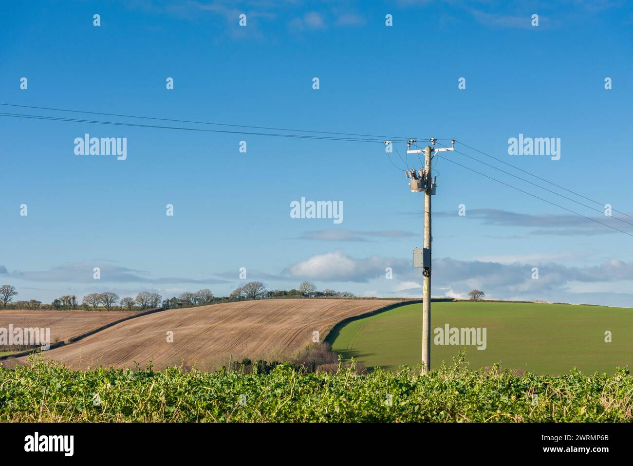 A Gas-filled Vacuum Recloser on a 3-phase 11kv overhead electricity distribution pole providing the ability to monitor and remotely isolate live cables in event of a fault to the electricity supply in rural West Somerset near Stogumber, England. Stock Photo