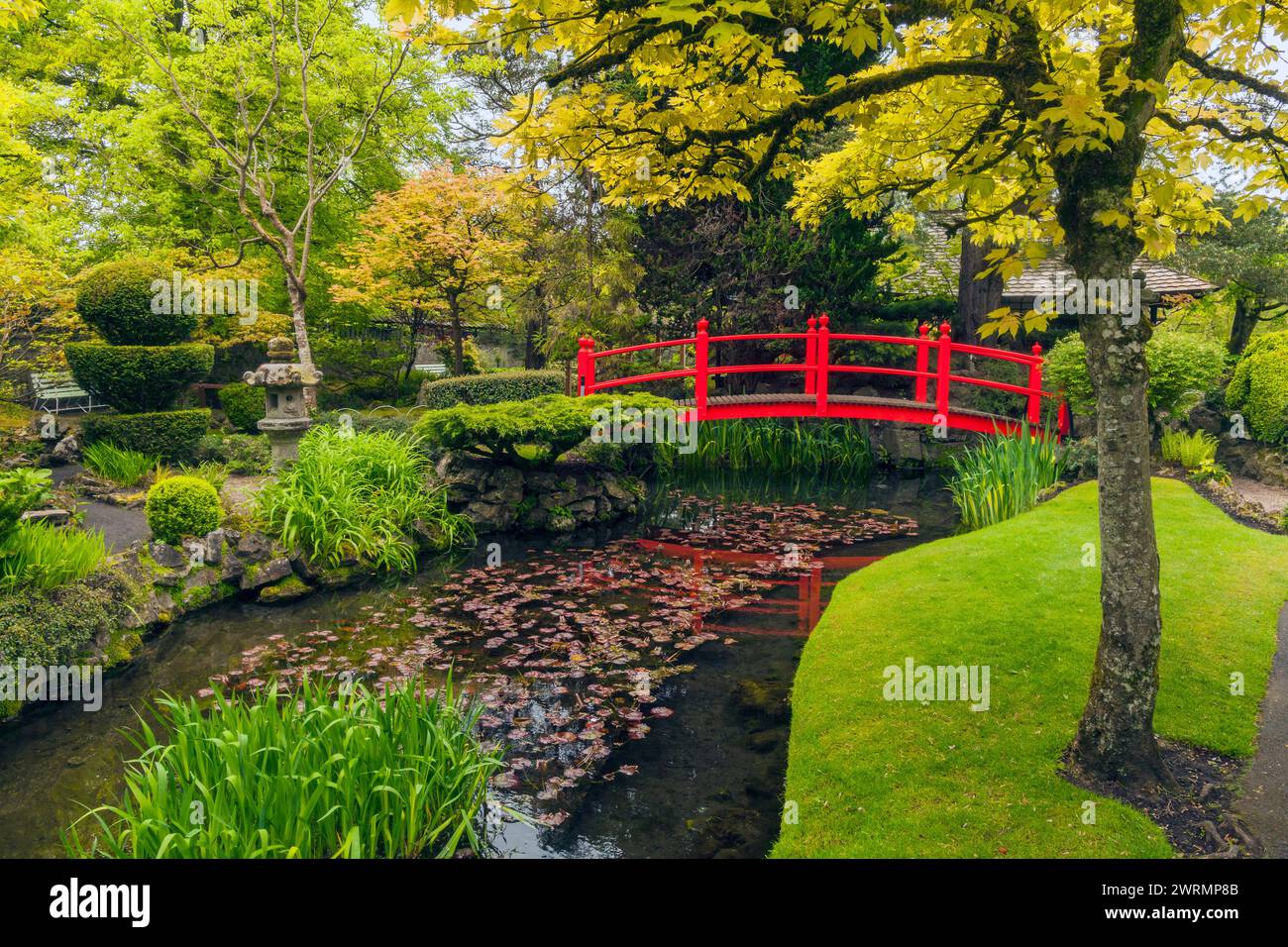 The red bridge in the Japanese Gardens in the National Stud, County Kildare, Ireland Stock Photo