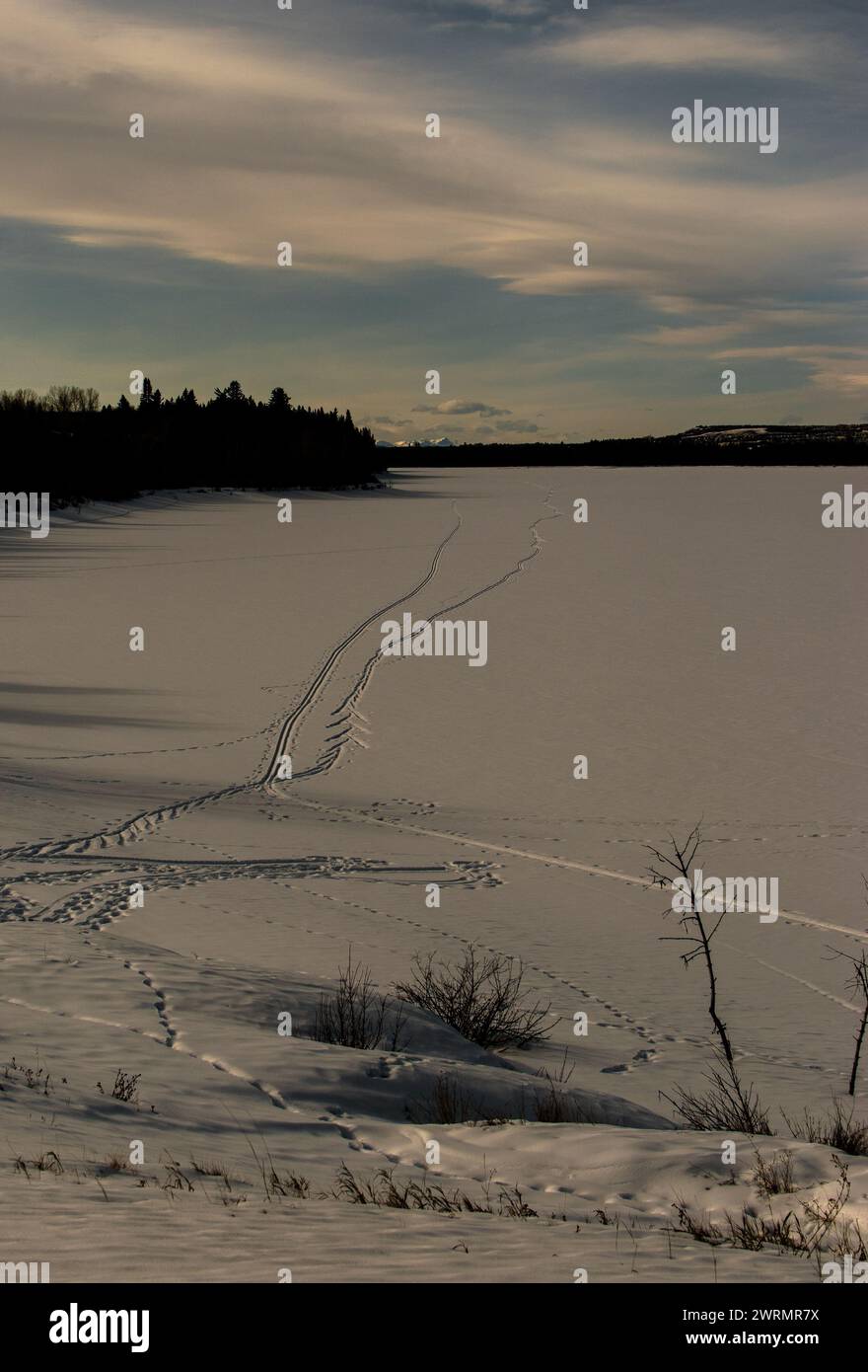 Ski trails on the ice covered water. Stock Photo