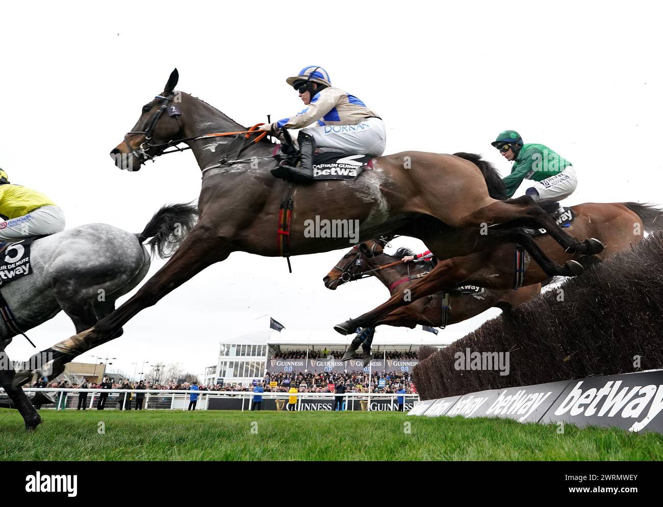 Captain guinness cheltenham hi-res stock photography and images - Alamy