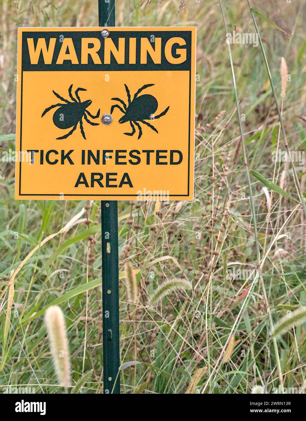 warning tick infested area sign in a grassy field, public park (lyme disease prevention) photo, tall grass, deer, dog, lone star ticks ground Stock Photo