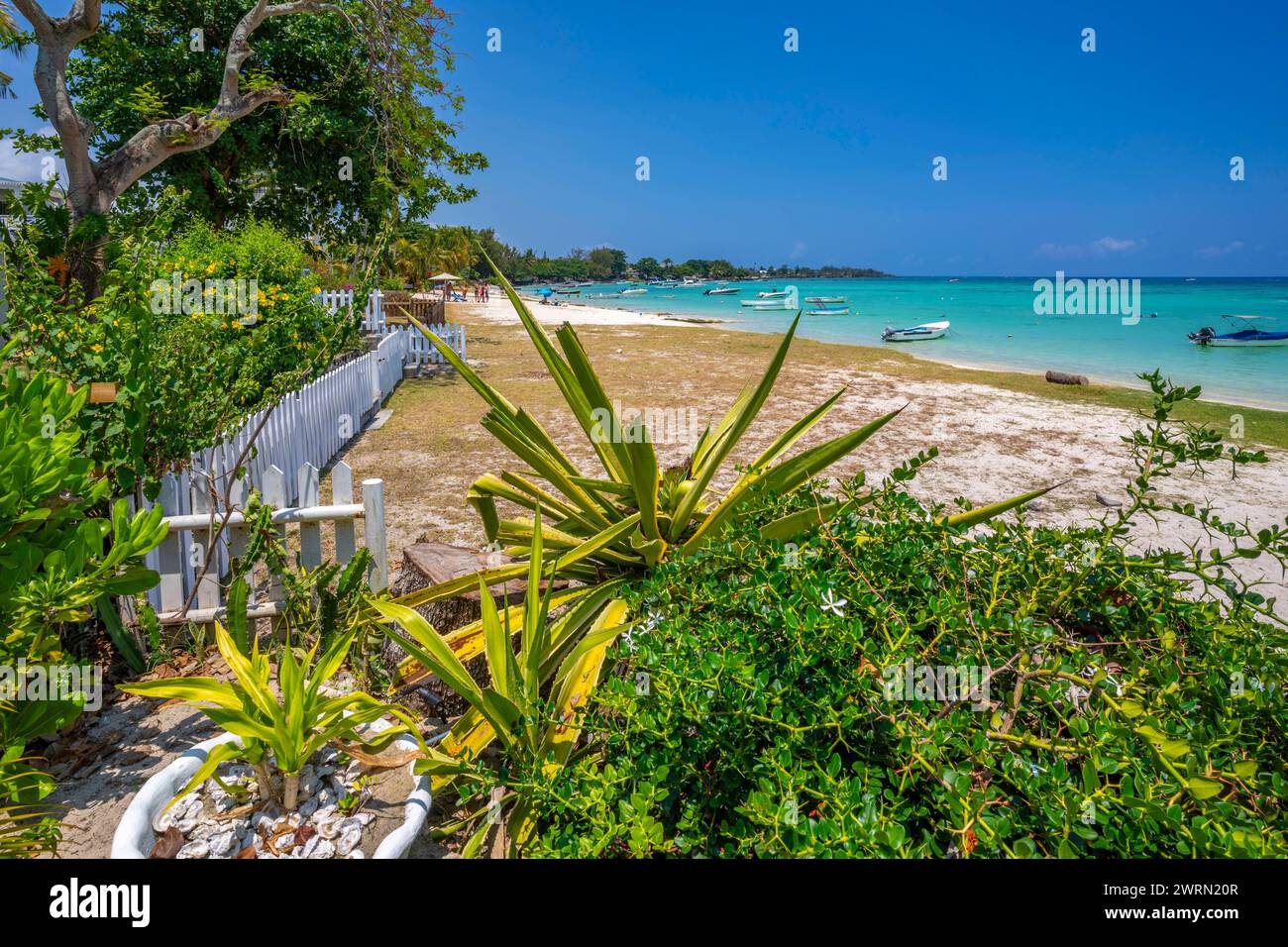 View of Beach at Trou-aux-Biches and turquoise Indian Ocean on sunny day, Trou-aux-Biches, Mauritius, Indian Ocean, Africa Copyright: FrankxFell 844-3 Stock Photo