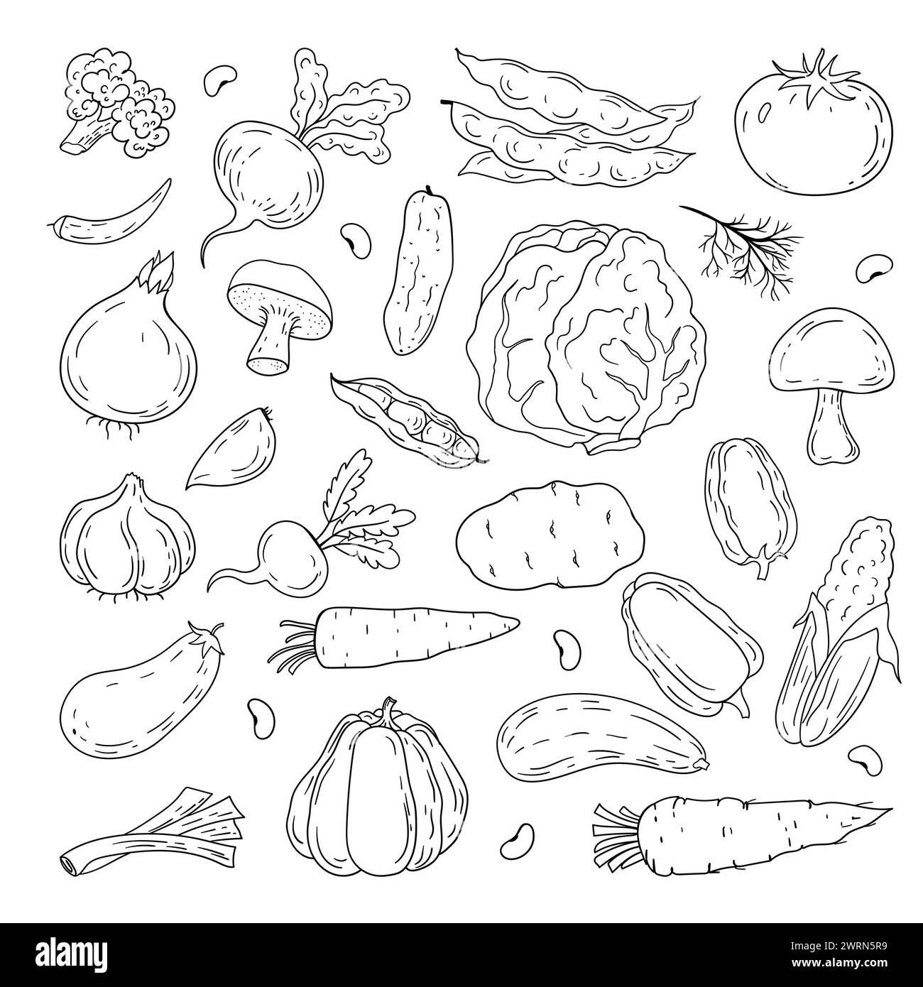 Set of various hand drawn vegetables. Sketches of different food. Isolated on white Stock Vector