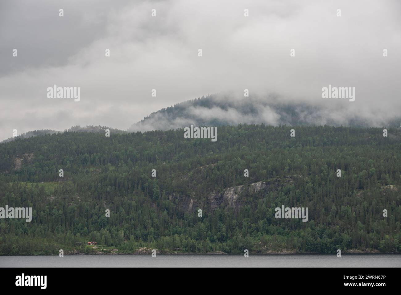 Foggy forest landscape hi-res stock photography and images - Alamy