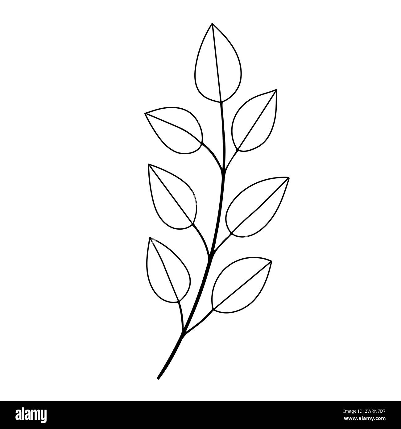 Foliage Line Art Design For Wedding Card Invitation Greeting Stock foliage-line-art-design-for-wedding-card-invitation-greeting-stock