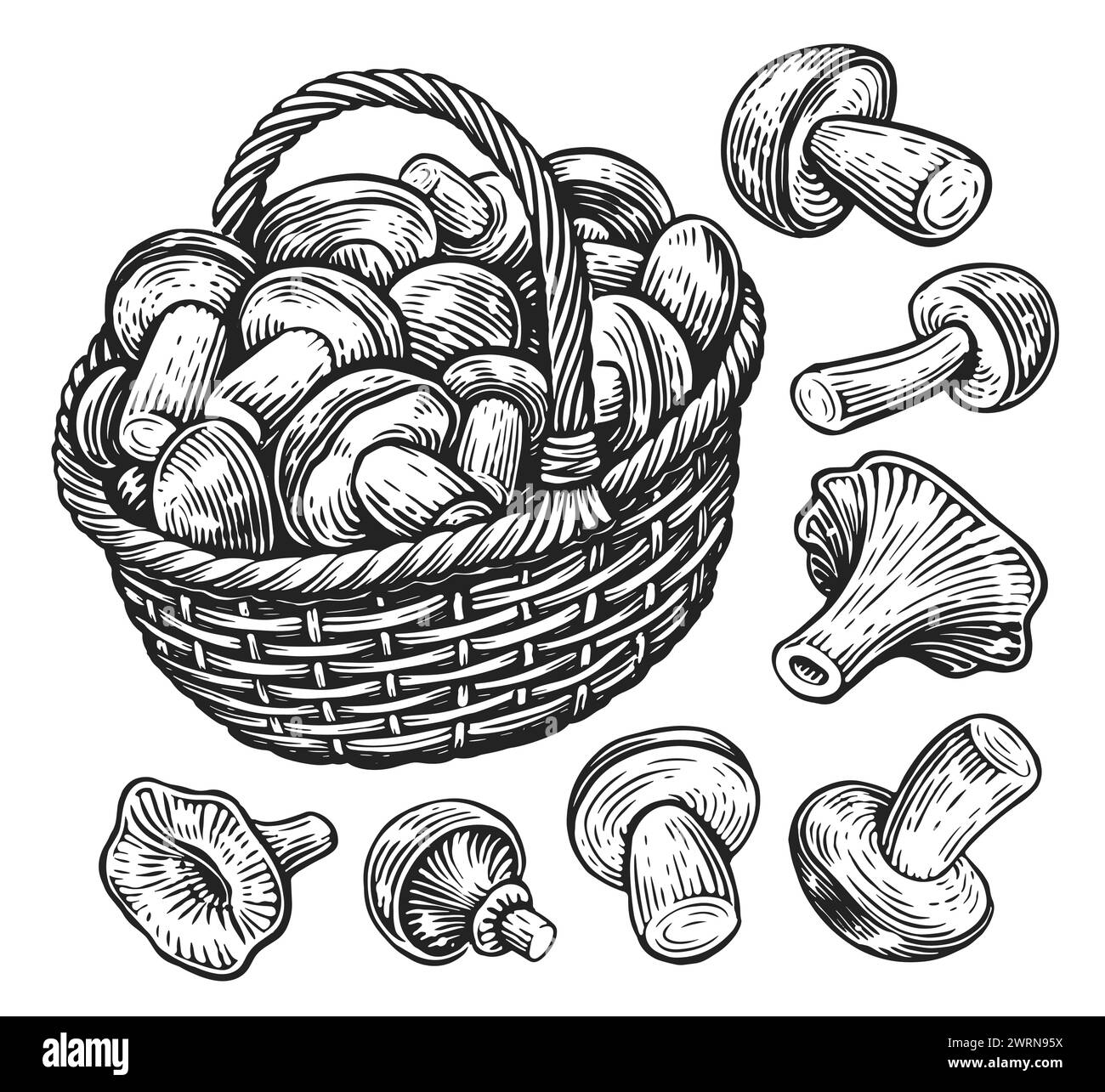 Hand drawn wicker basket full of mushrooms. Fresh organic food. Sketch vintage vector illustration Stock Vector
