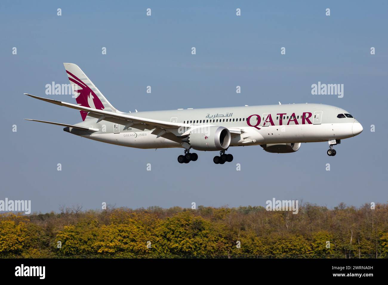 Budapest With Special Passengers Qatar Airways Boeing The Future of Elite Sports Travel: How Aviation Partnerships Are Changing the Game