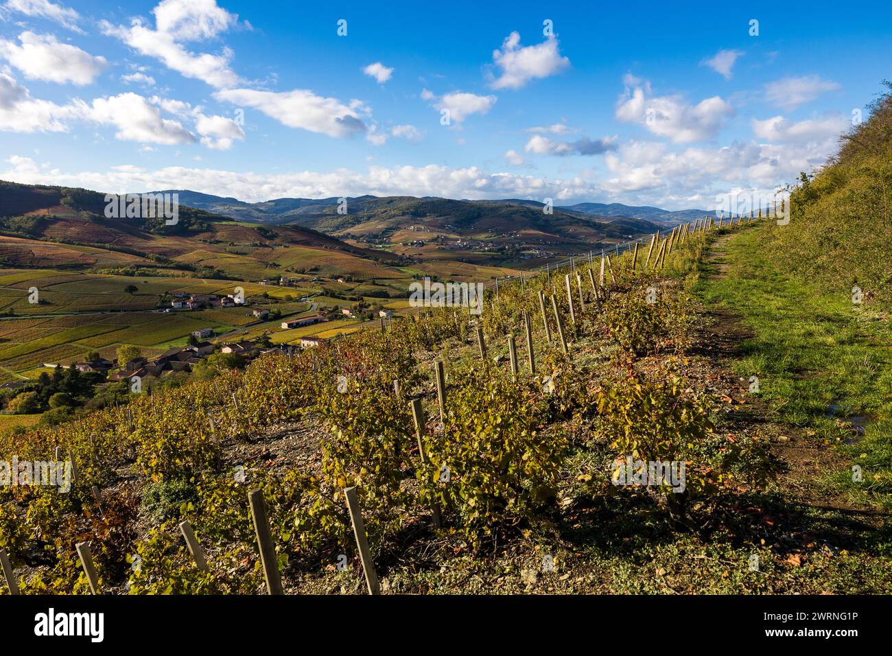 Panorama sur les monts et les vignes du Beaujolais depuis les flancs du Mont Brouilly Stock Photo