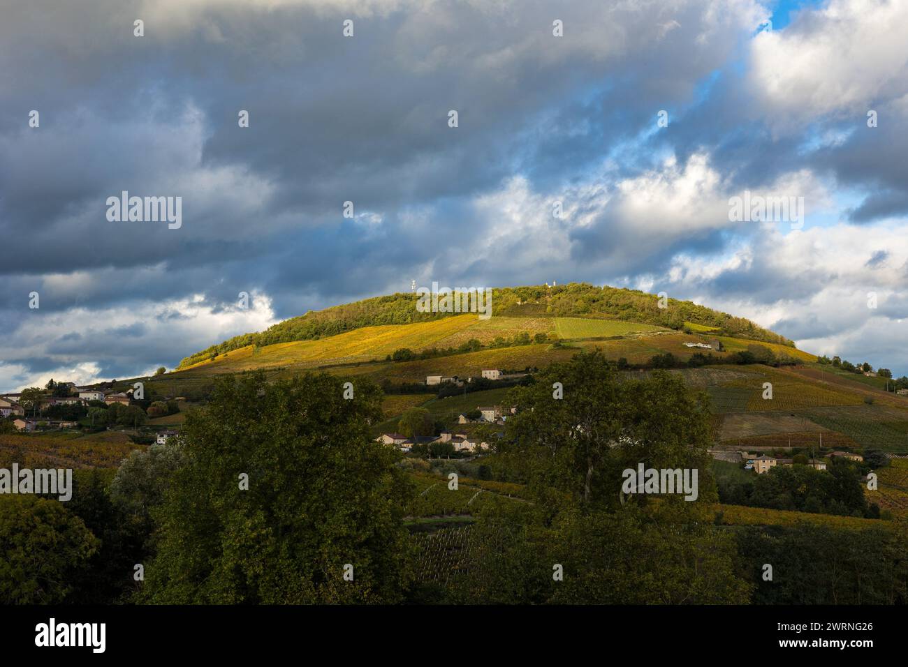 Mont Brouilly, couvert de vignes du Beaujolais colorées par l’automne, sous les nuages mais éclairé par un soleil rasant Stock Photo