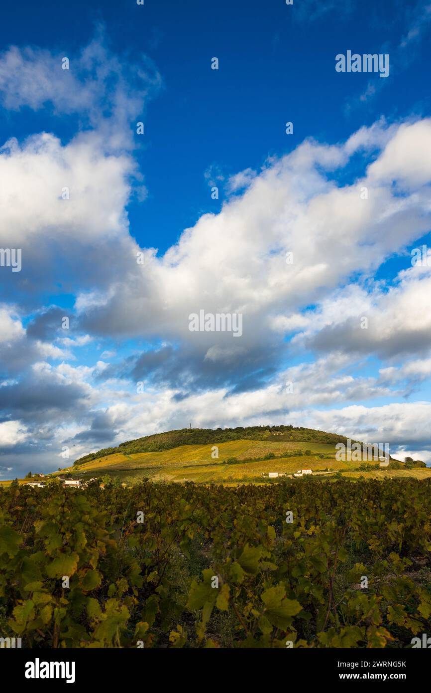 Mont Brouilly, couvert de vignes du Beaujolais colorées par l’automne, sous les nuages mais éclairé par un soleil rasant Stock Photo