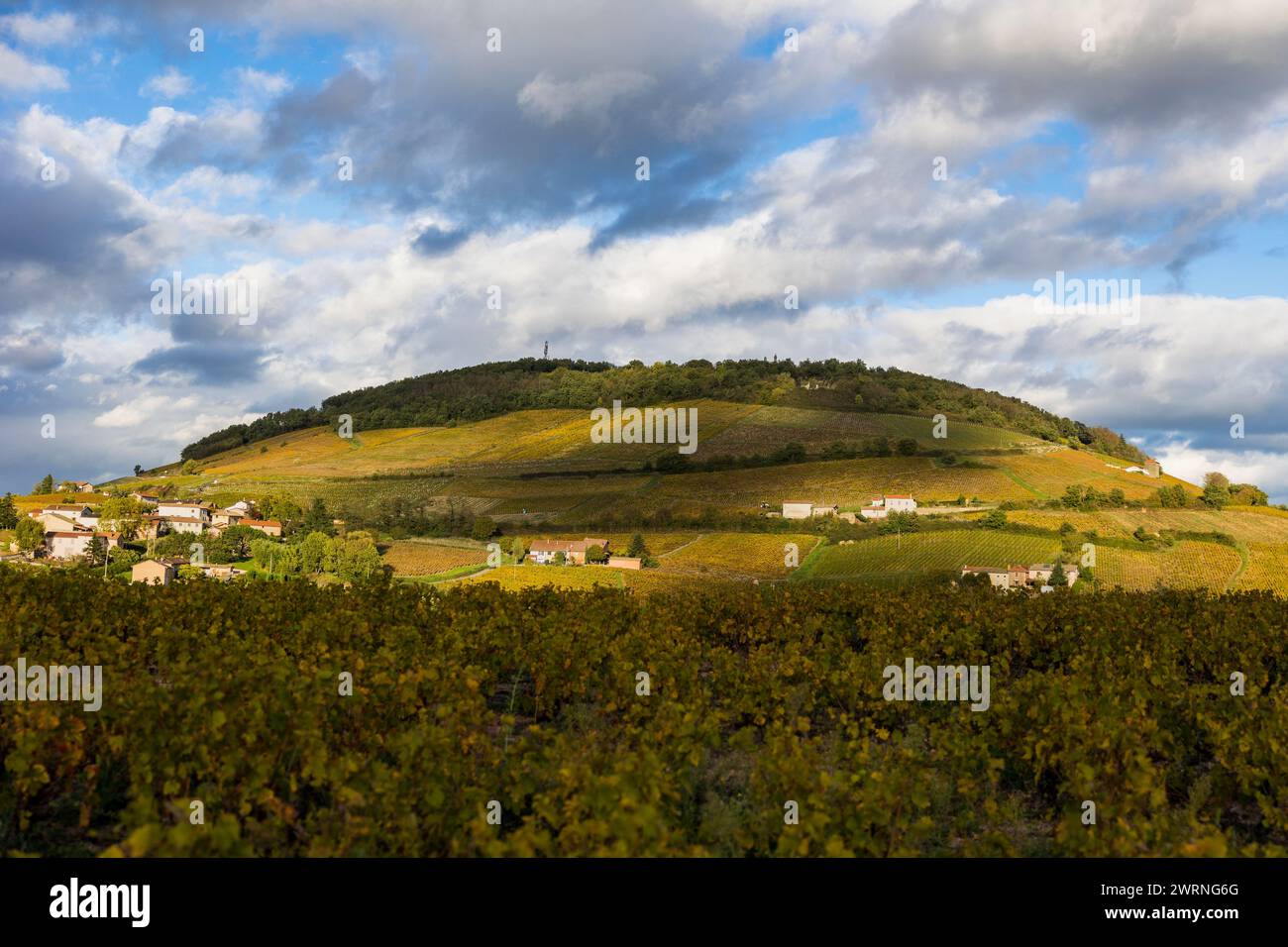 Mont Brouilly, couvert de vignes du Beaujolais colorées par l’automne, sous les nuages mais éclairé par un soleil rasant Stock Photo