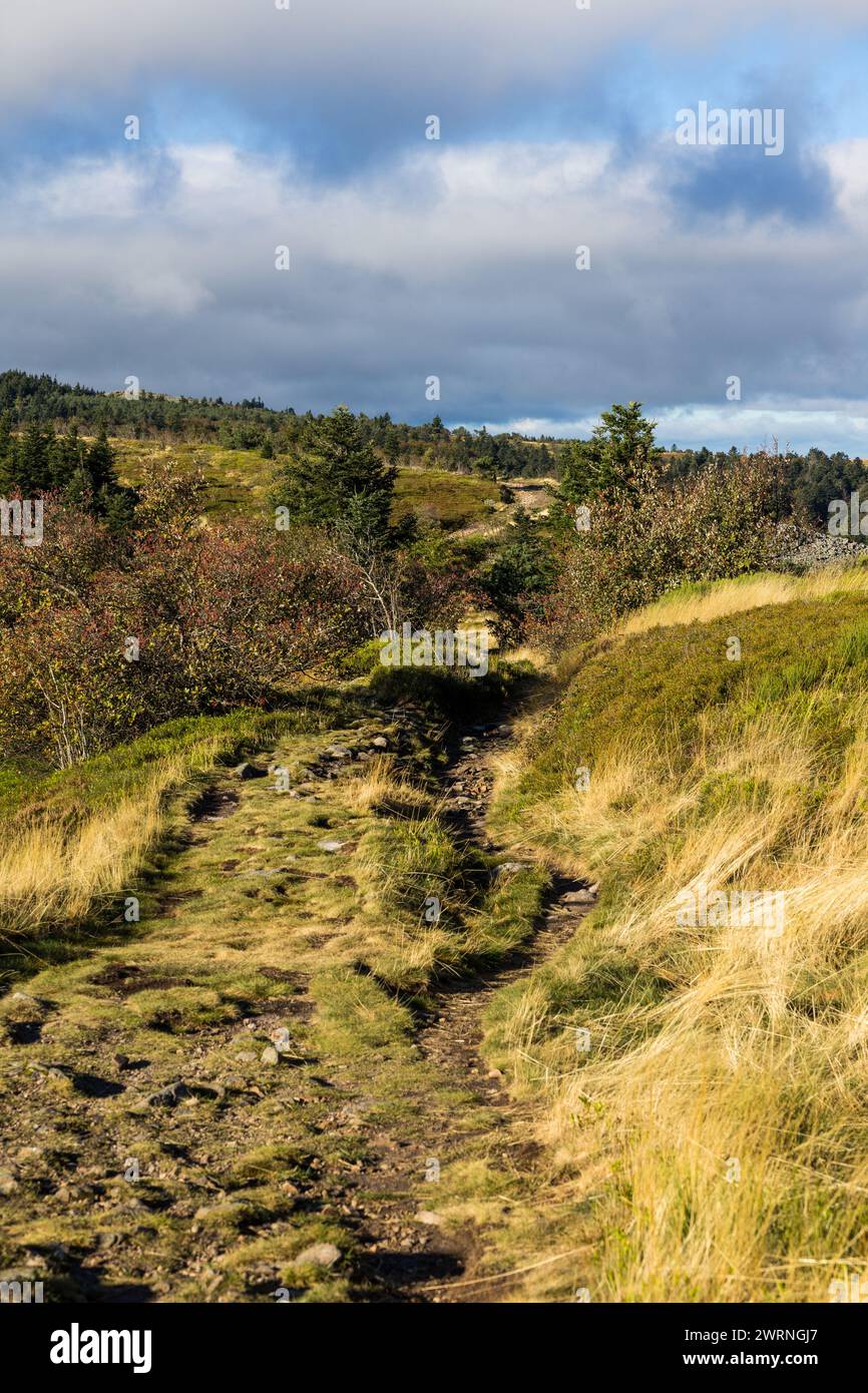 Chemin de randonnée des Crêts du Pilat à l’automne entre les landes ...