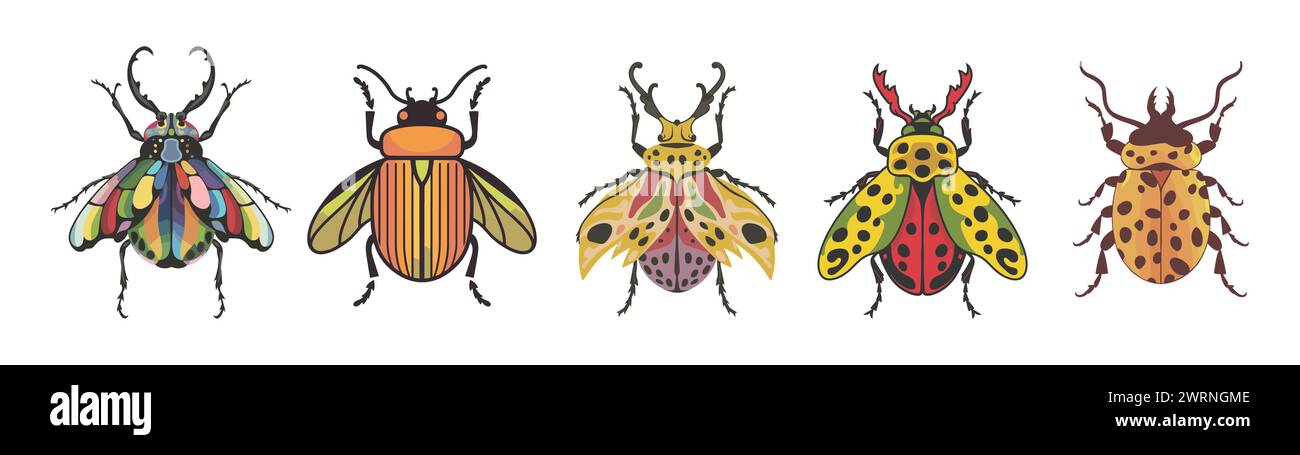 Set of different colorful beetles vector isolated Stock Vector Image ...
