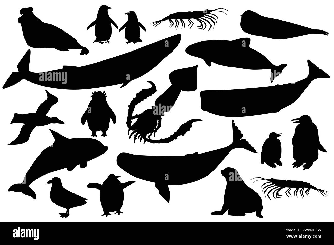 Vector silhouett shape black set of animals in Antarctica. Hand drawn collection of whales, penguins, skua, krill, seals, porpoise. Stock Vector
