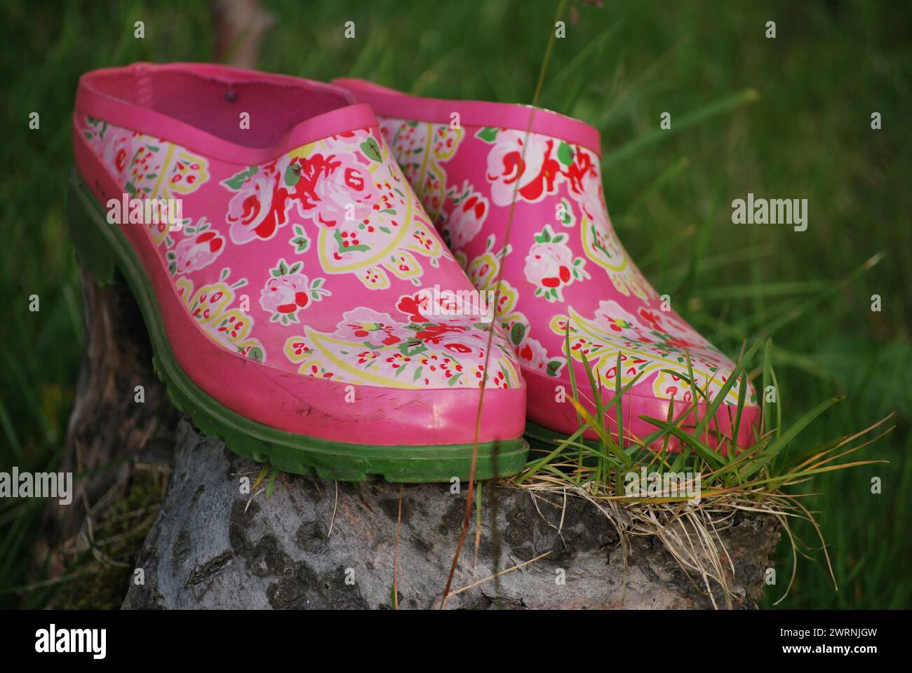 garden clogs, on the grass waiting to be put on Stock Photo