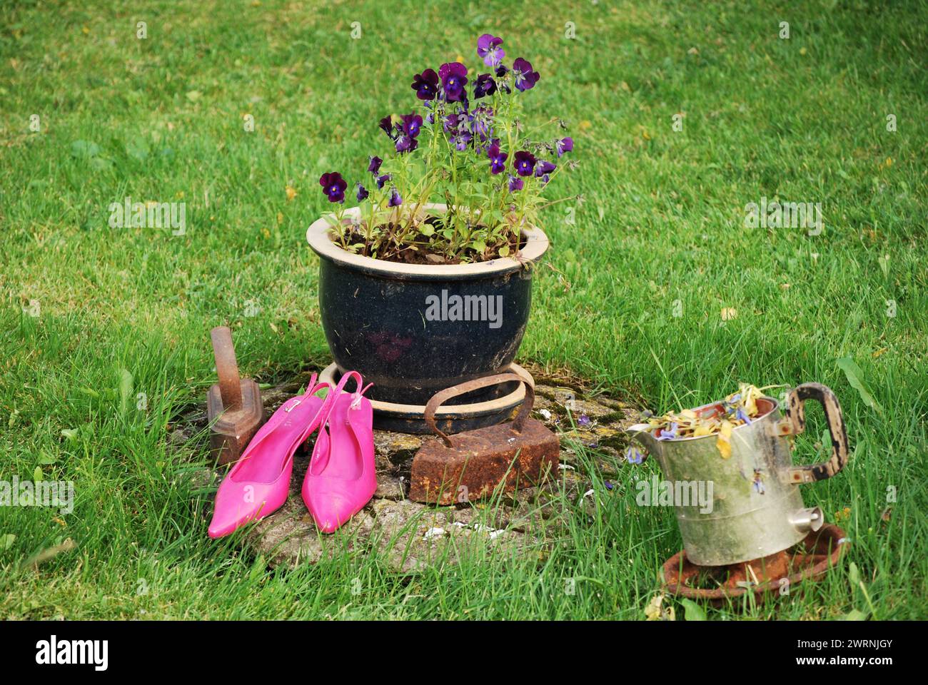 pink slippers on the lawn with flower pot Stock Photo