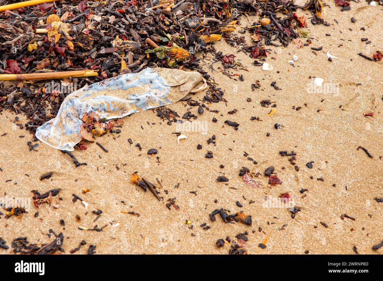 garbage on the beach, condom on the seashore close-up top view. ecological problems. Stock Photo