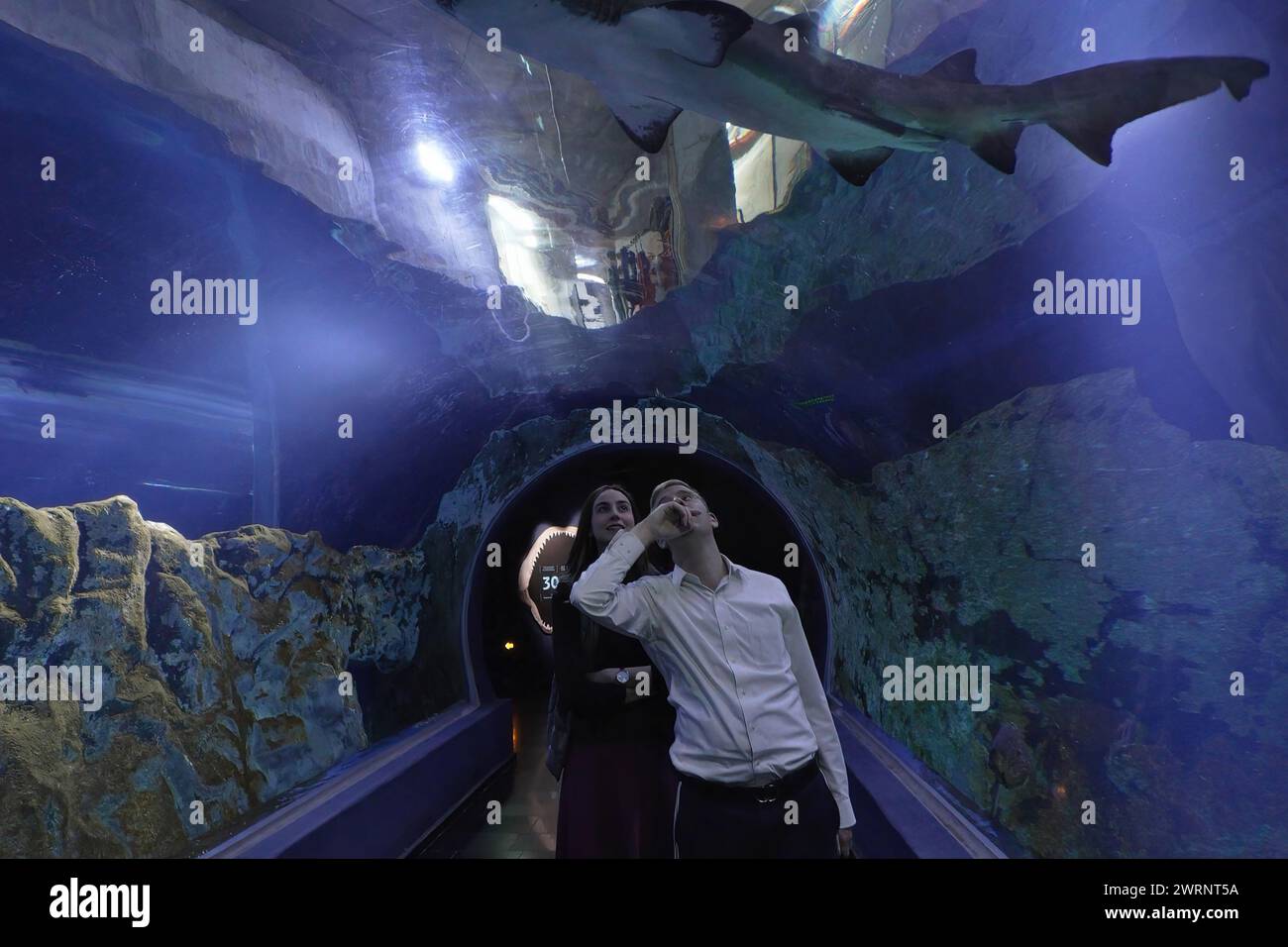A Haredi Jewish couple walk through a glass-covered walkway as they watch a shark swimming at the Gottesman Family Israel Aquarium, dedicated to the conservation of Israel's aquatic habitats, in Jerusalem. Israel Stock Photo