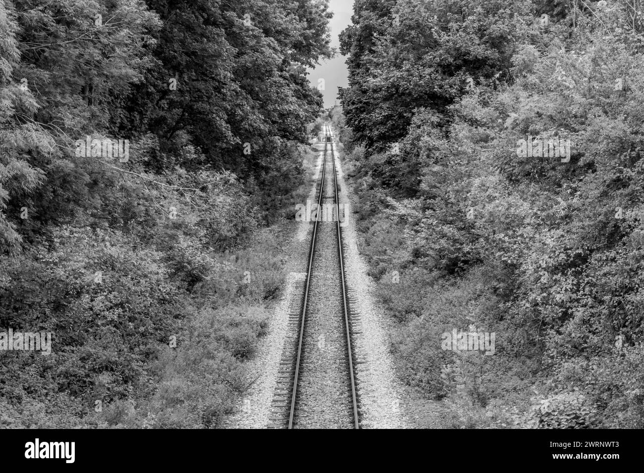 Tree lined railway Black and White Stock Photos & Images - Alamy