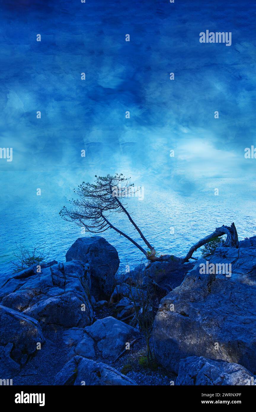 Beautiful landscape of a tree on the shore in blue color in an atmosphere of mystery Stock Photo