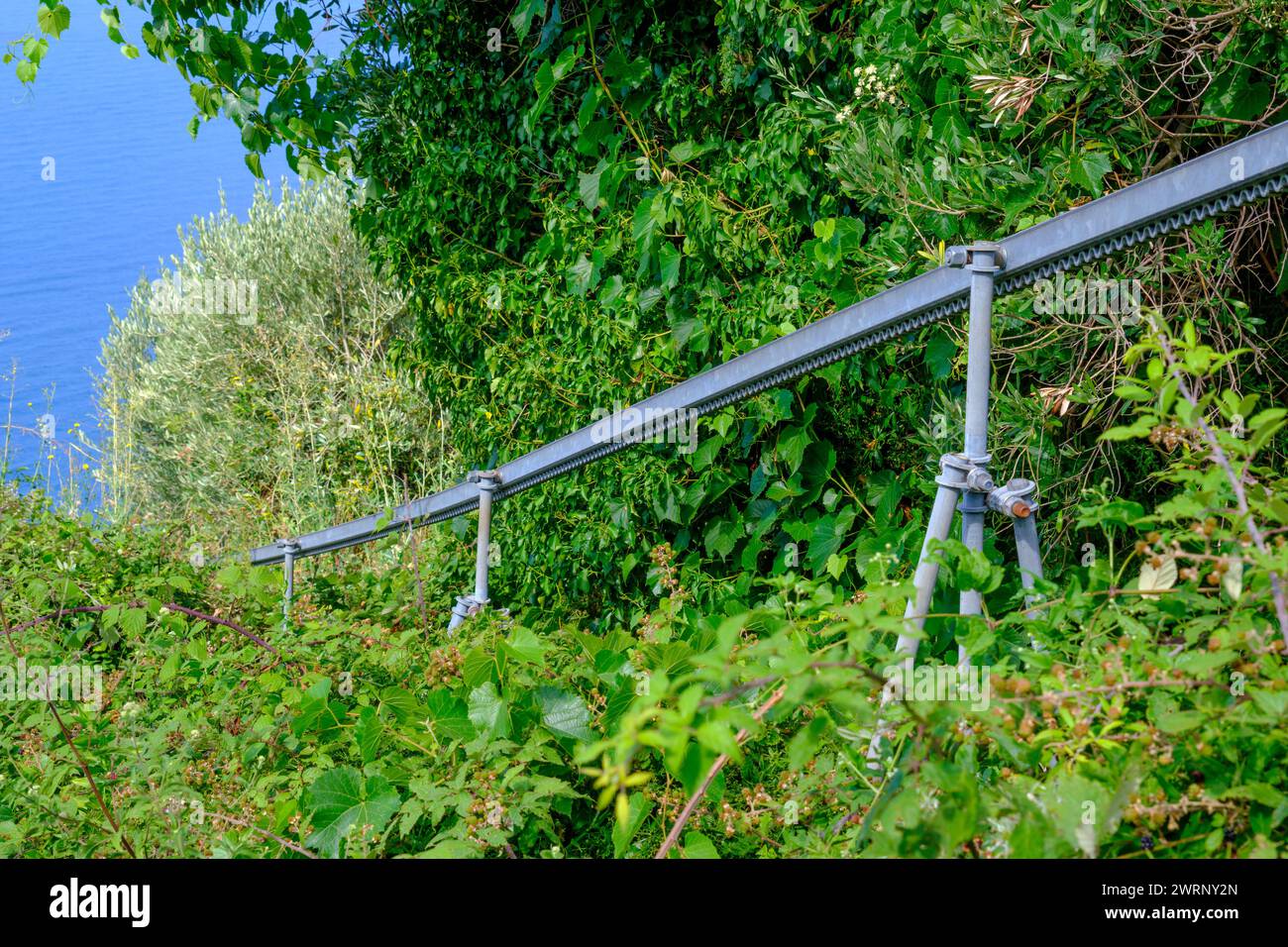 Grape rack hi-res stock photography and images - Alamy