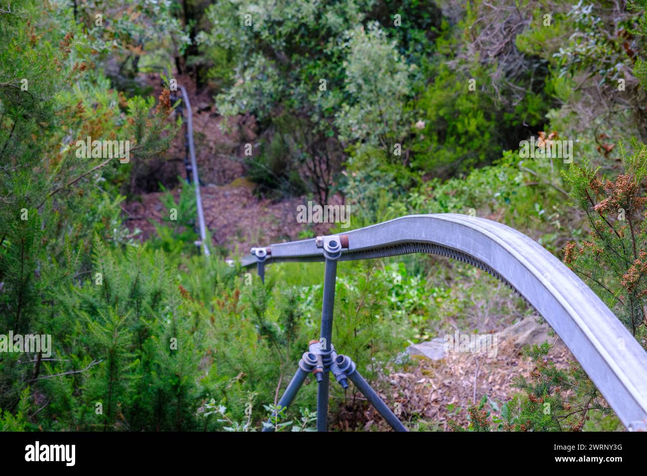 Grape rack hi-res stock photography and images - Alamy