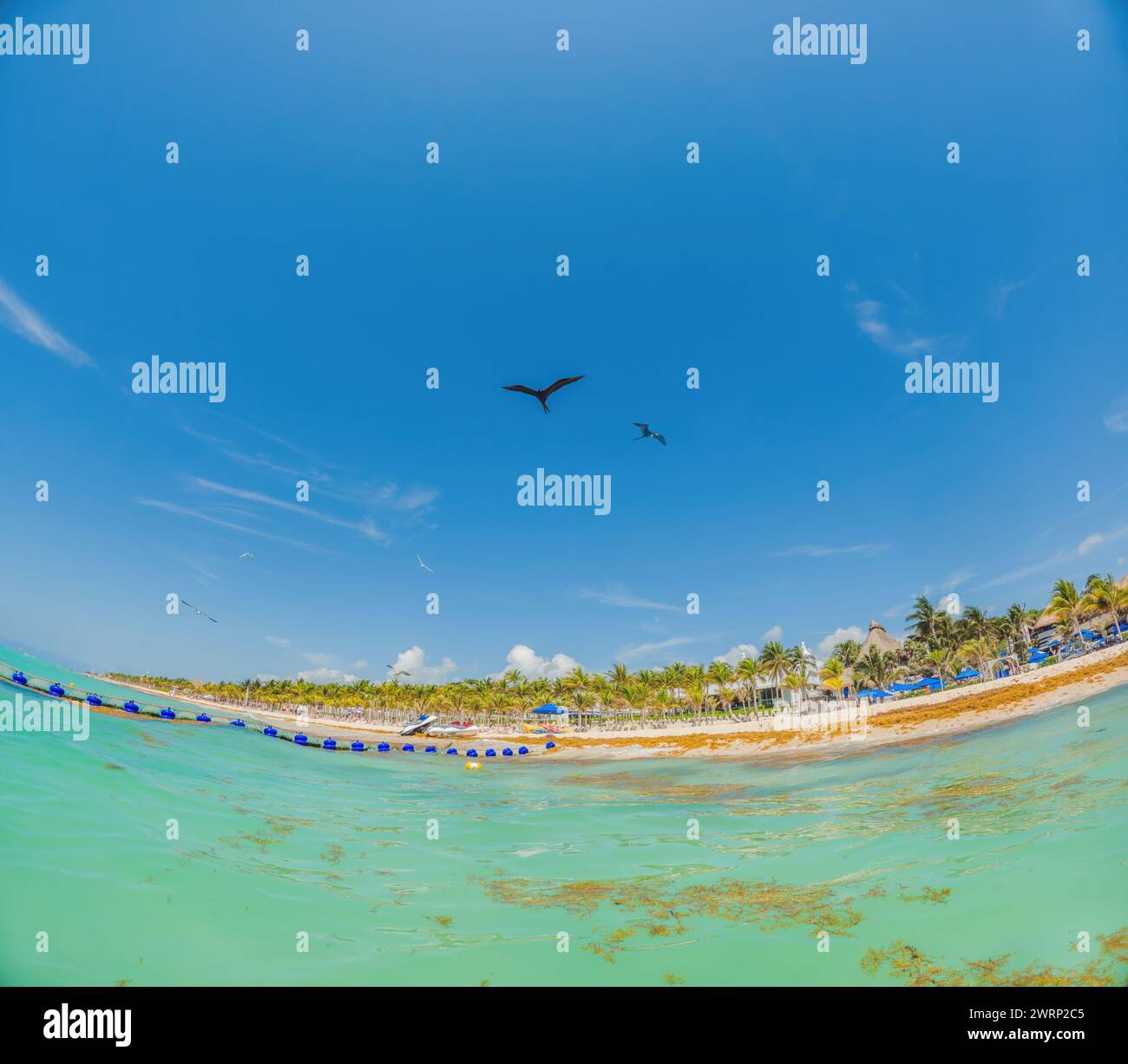The beautiful Caribbean beach totally filthy and dirty the nasty ...