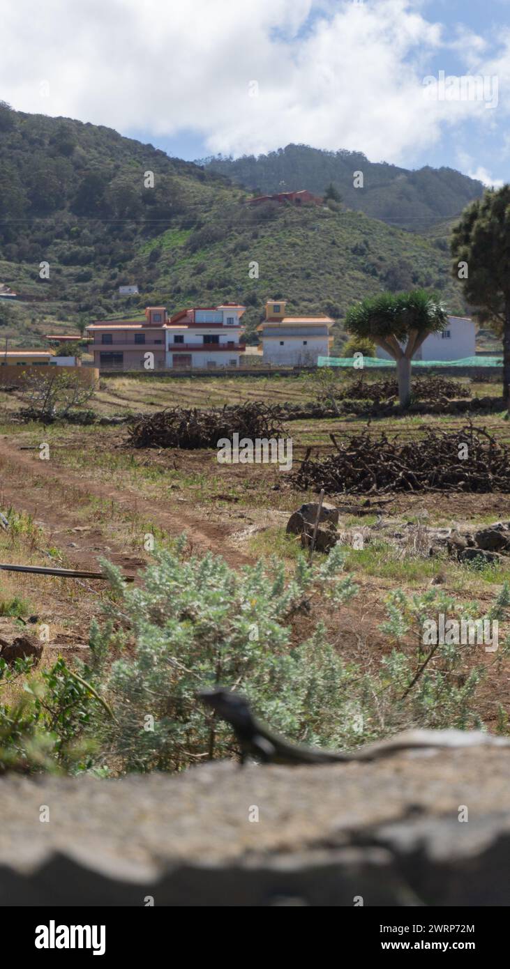 Rural village, mountainous backdrop, serene nature Stock Photo - Alamy