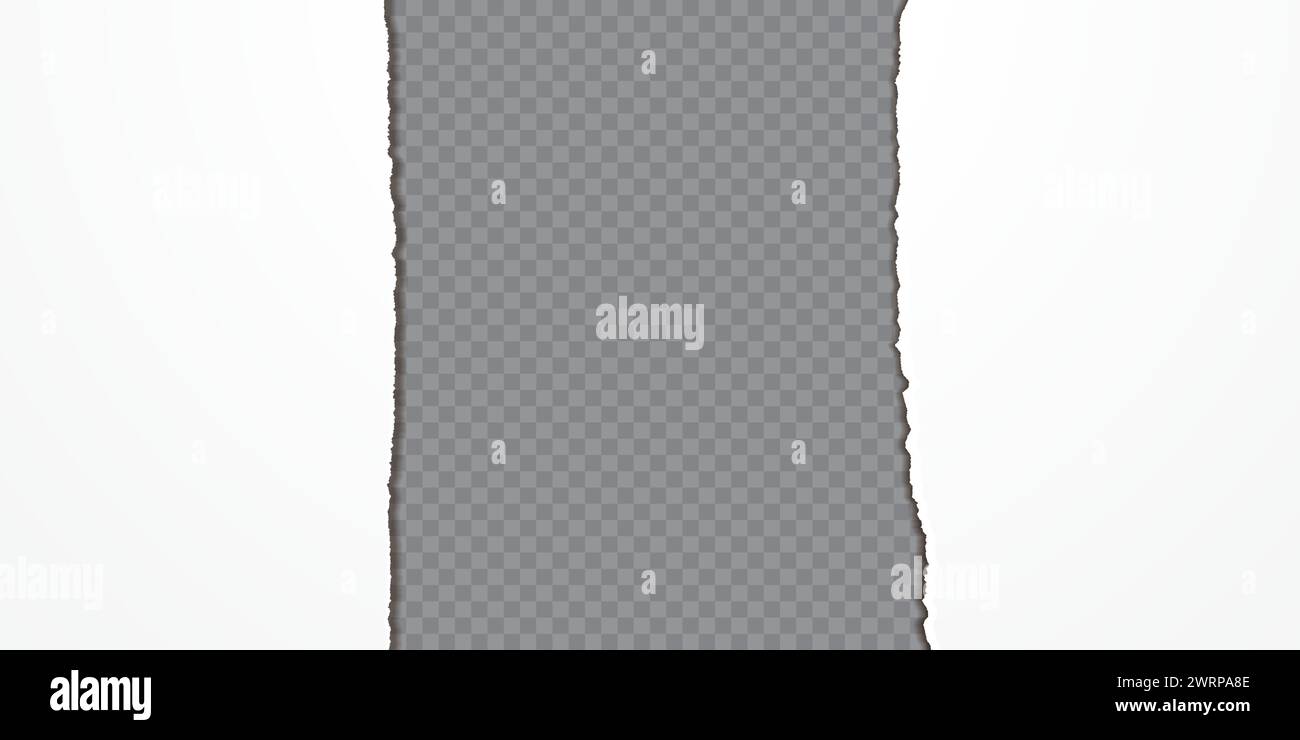 White empty jagged sheet isolated on transparent background Stock Vector