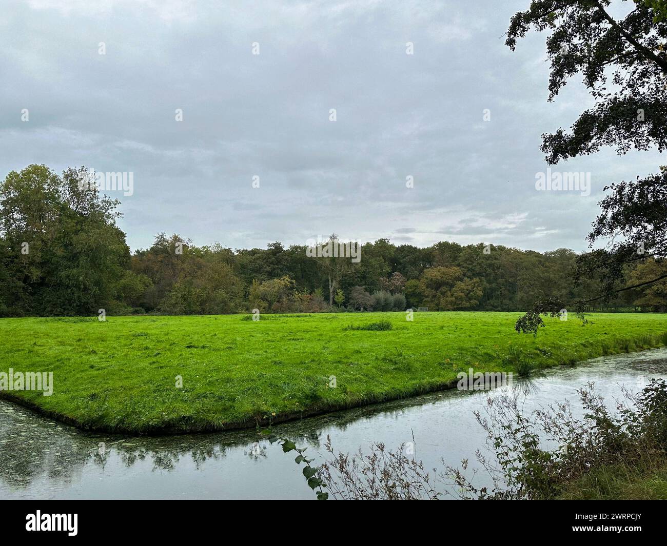 Beautiful trees, green grass and water channel in park Stock Photo