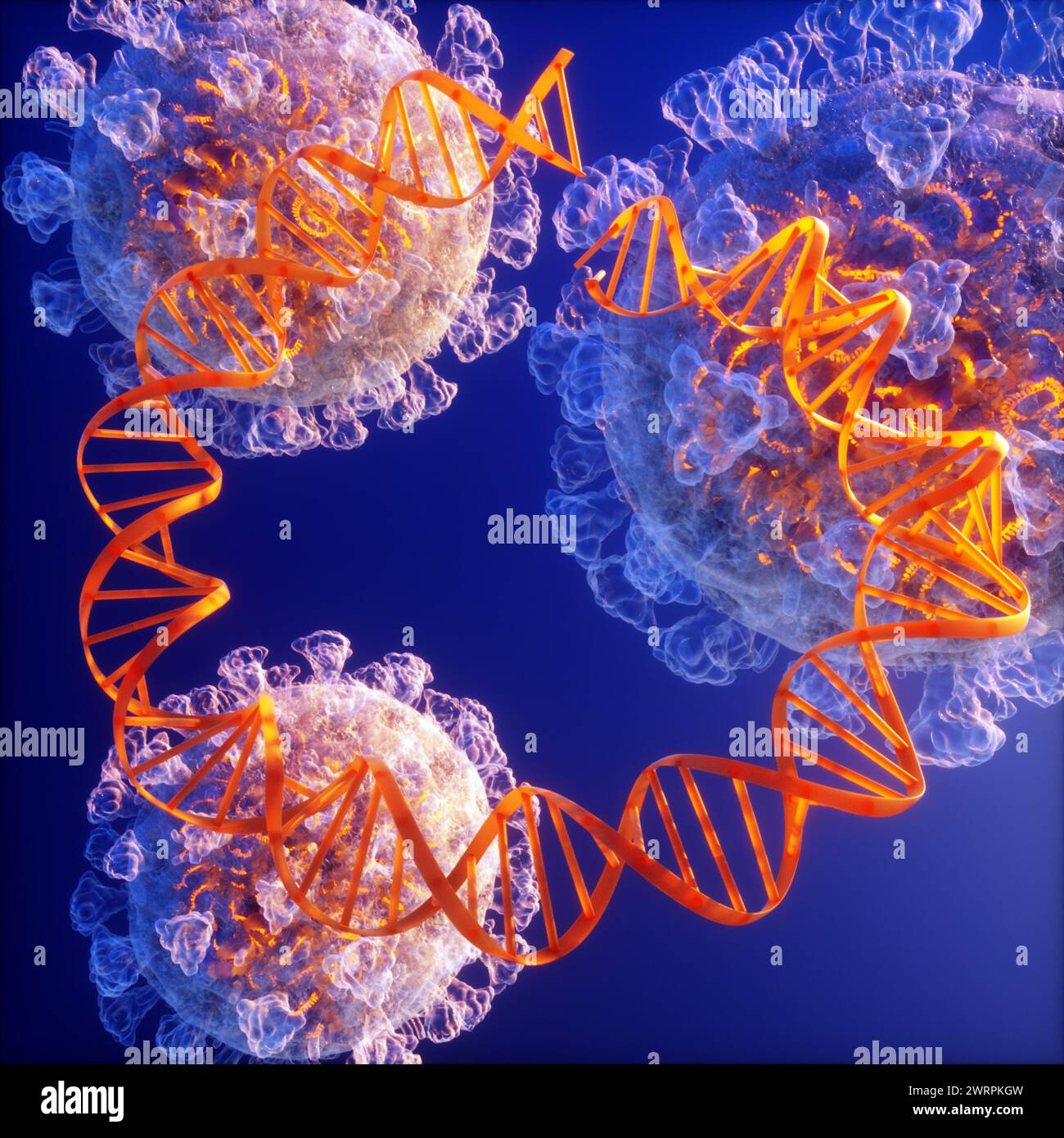 Dna Immunization DNA vaccine, conceptual illustration Stock Photo - Alamy