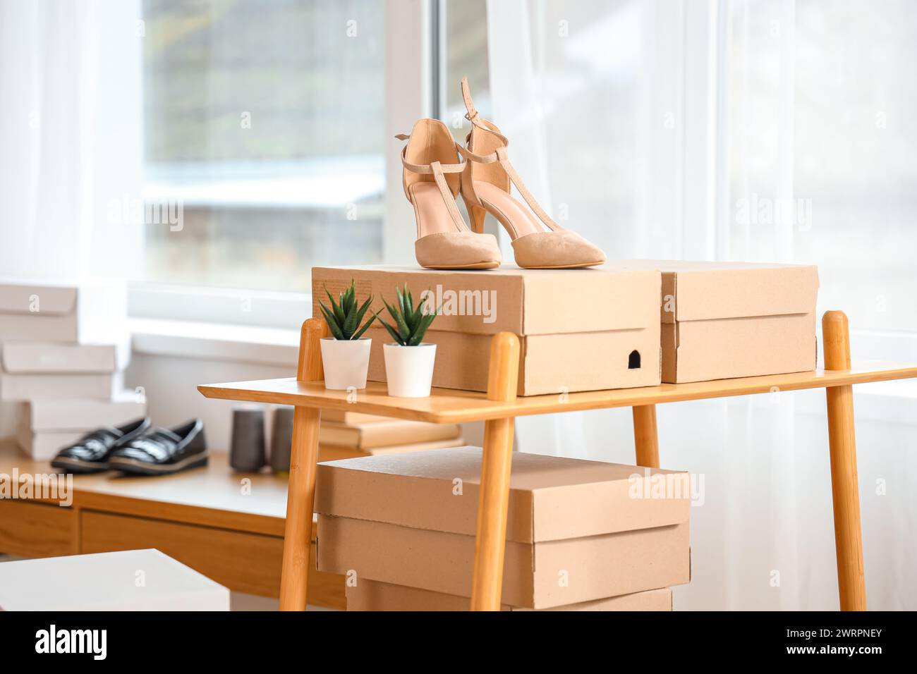 Heels with shoe boxes on shelf in shoemaker's workshop Stock Photo