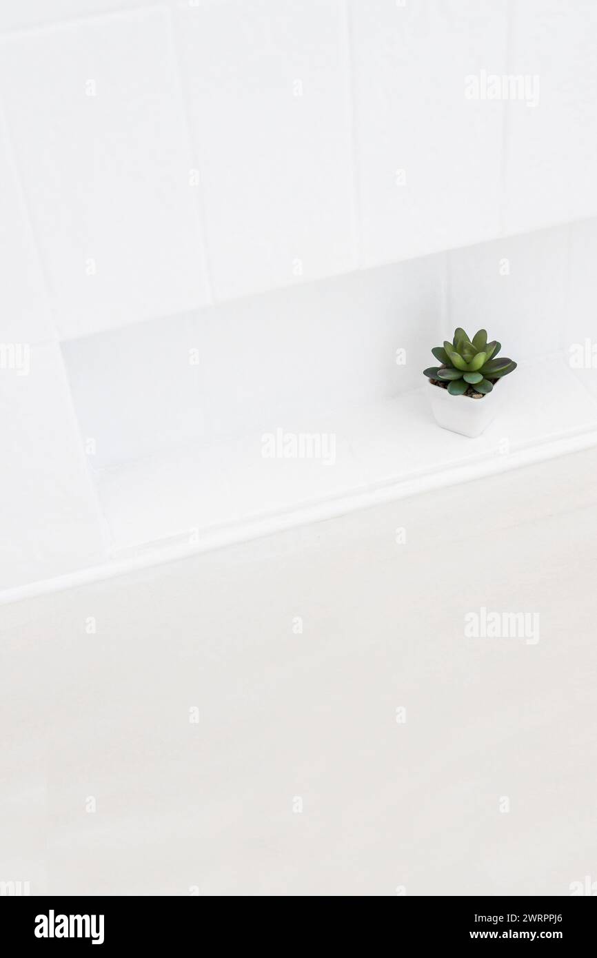 rectangular niche in white tiled wall with small decorative succulent plant, interior design concept or metaphor of finding a niche in business Stock Photo