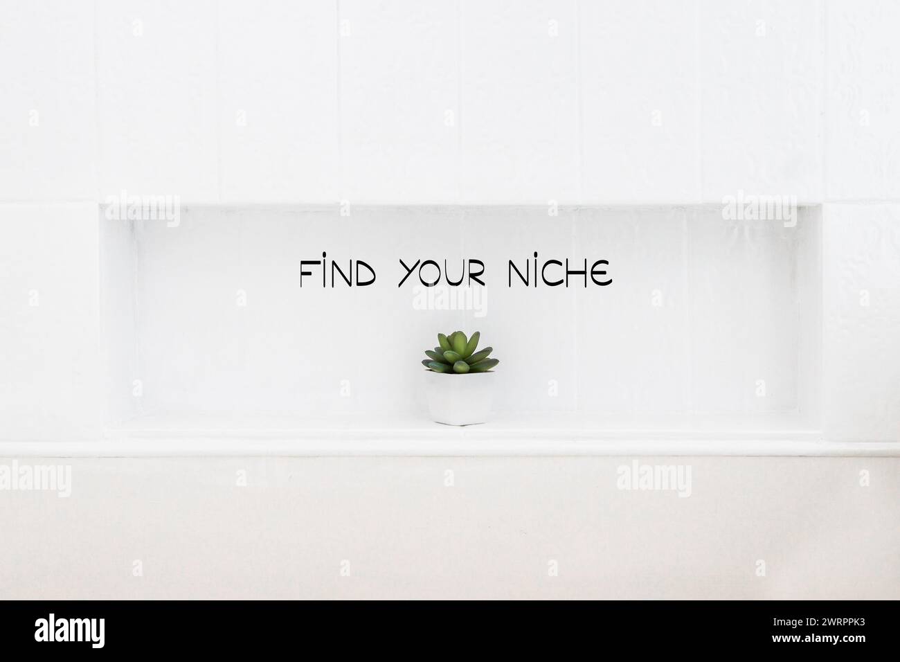rectangular niche in white tiled wall with small decorative succulent plant, interior design concept or metaphor of finding a niche in business Stock Photo