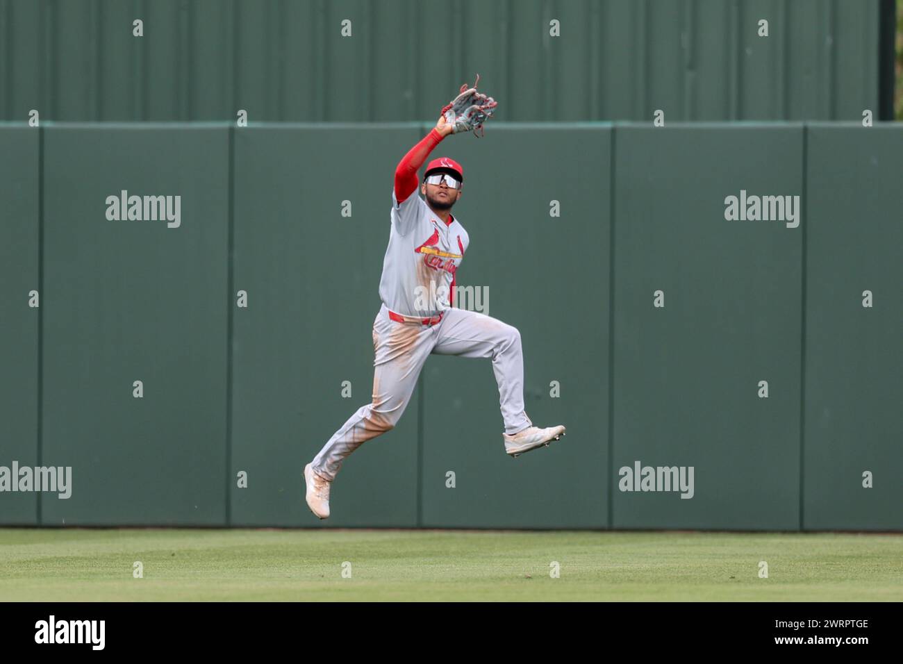 Fort Myers, FL: St. Louis Cardinals Center Fielder Victor Scott Ii (91 ...