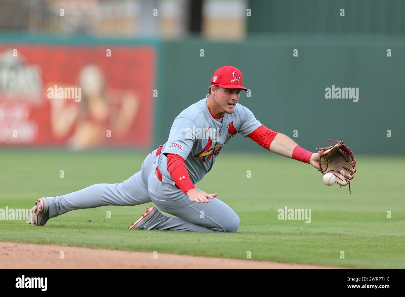 Fort Myers, FL: St. Louis Cardinals second baseman Nolan Gorman (16) dives for a ball hit to right field by Minnesota Twins shortstop Carlos Correa (4 Stock Photo